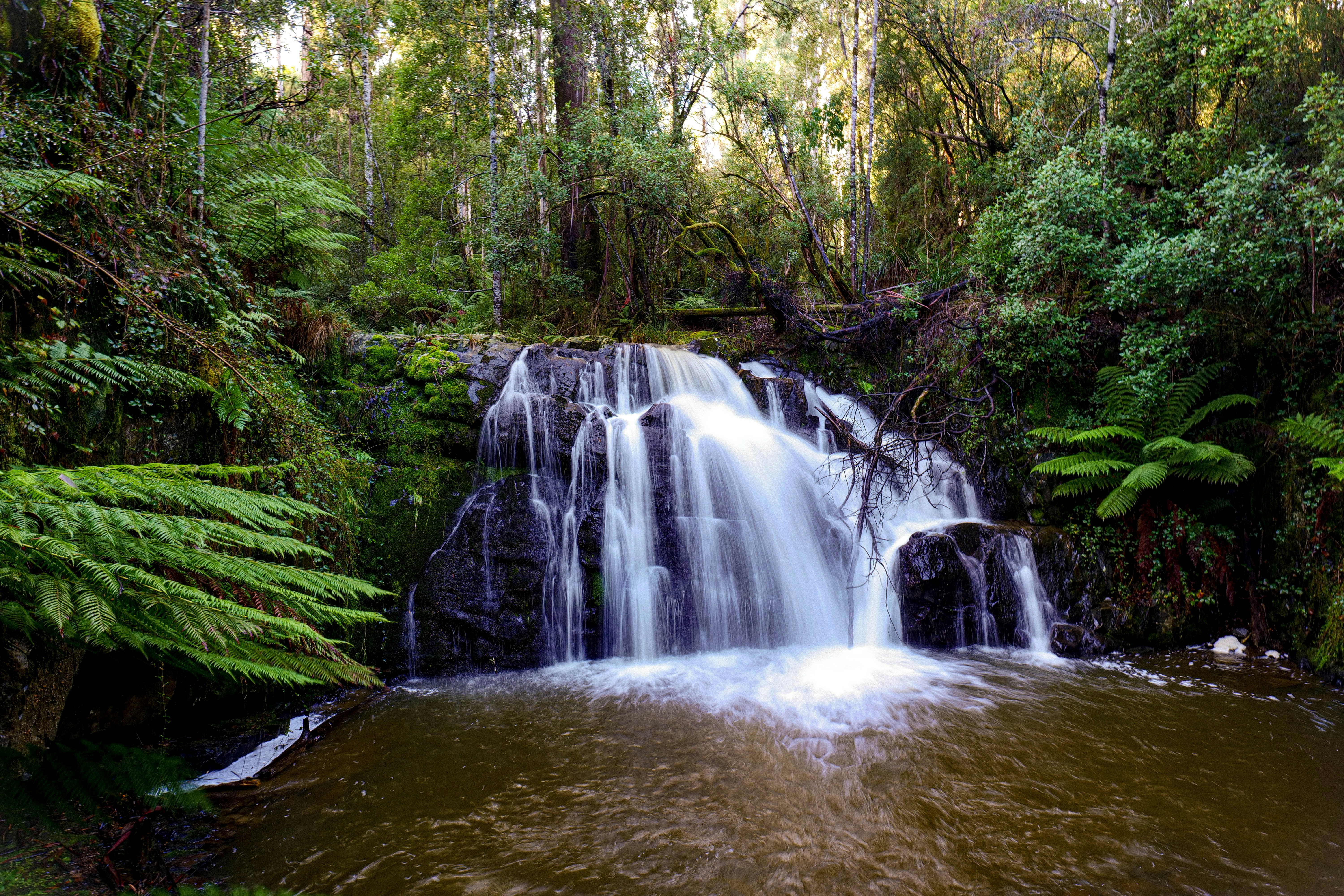 Photo by divineproductionsfilms