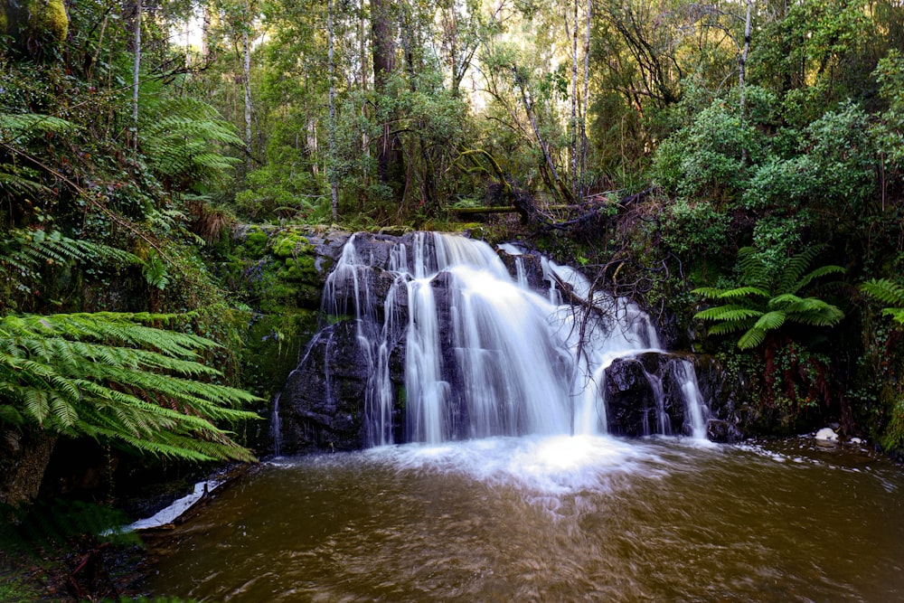 a waterfall in a forest