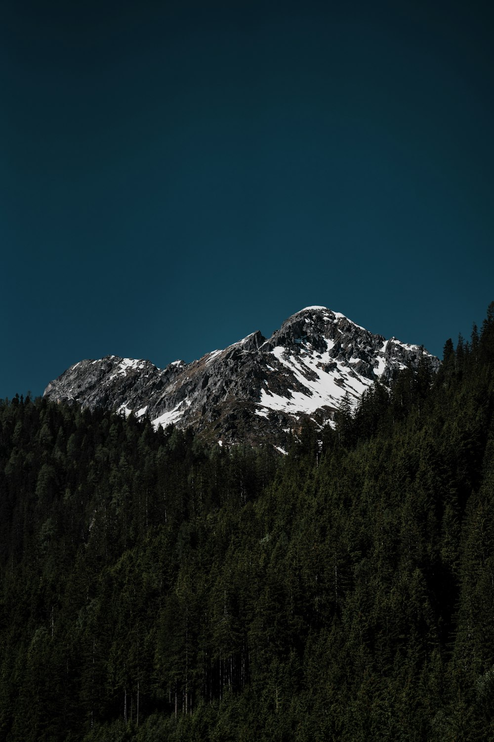 a snowy mountain with trees