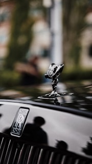 a person standing on a car hood