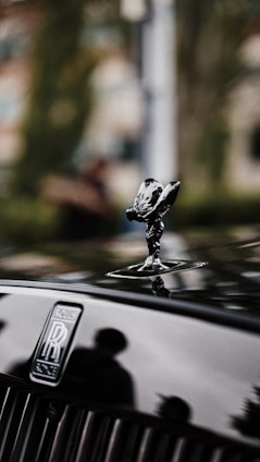 a person standing on a car hood