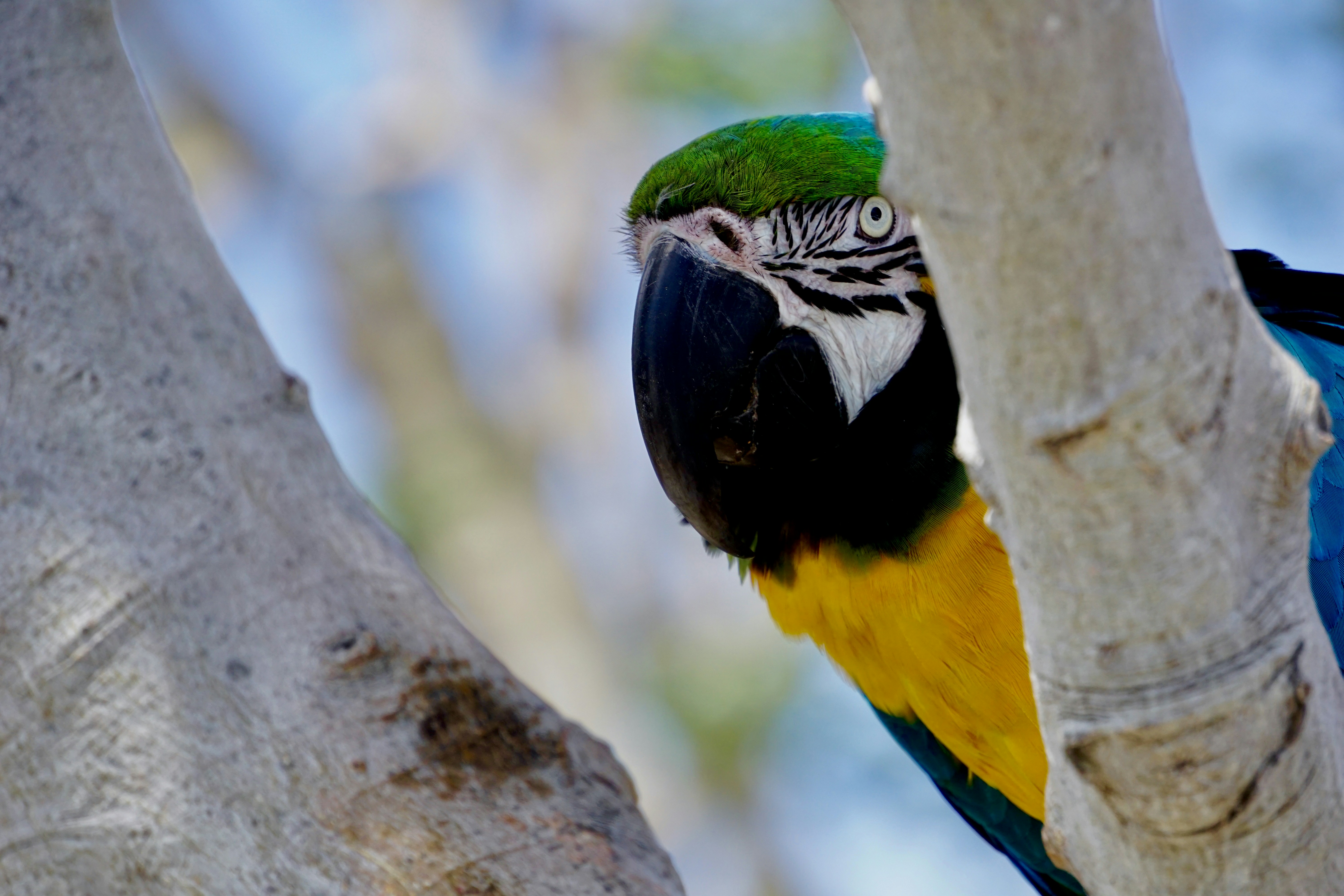 Photo by cerberus44233