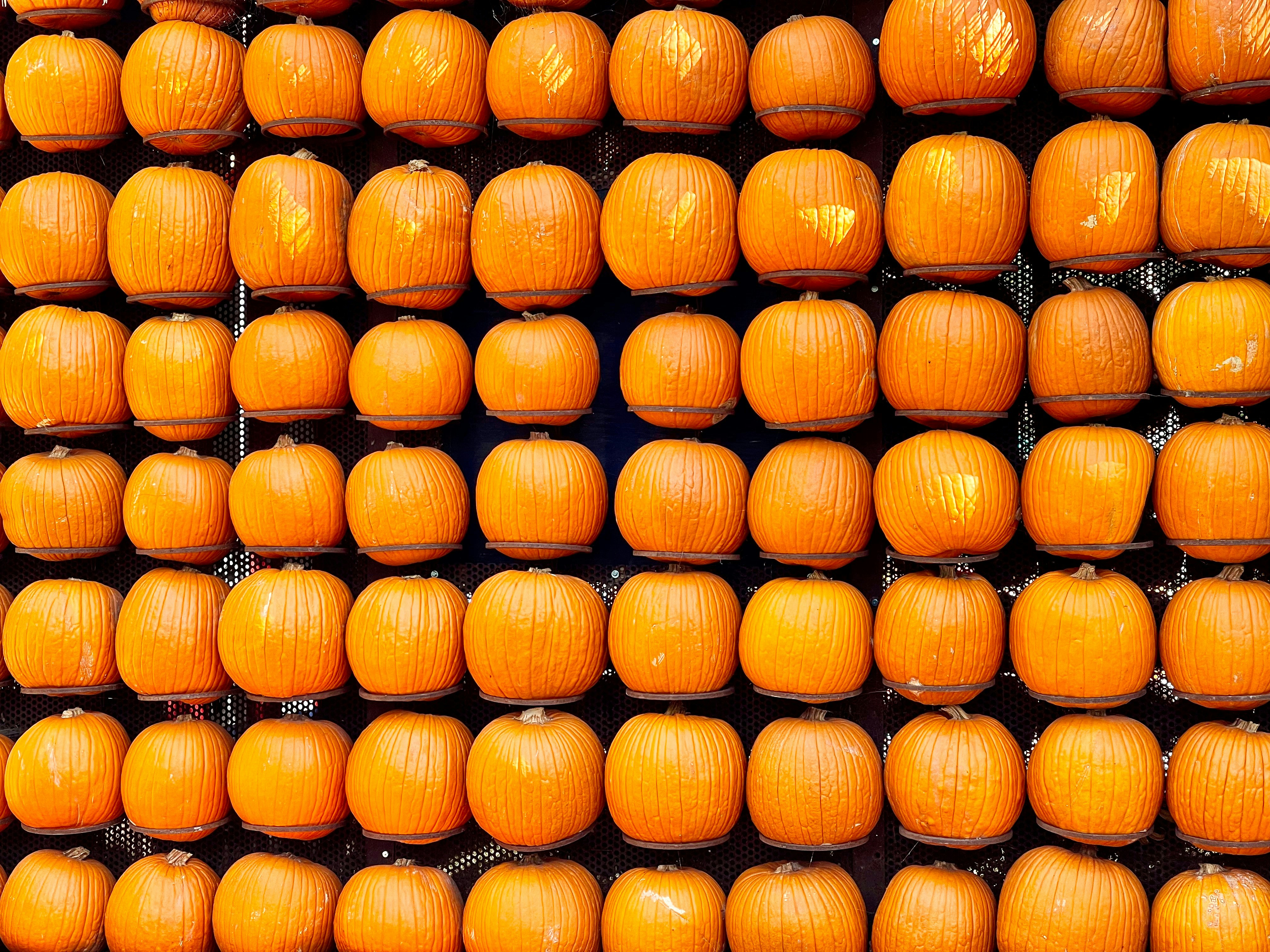 a pile of yellow tomatoes