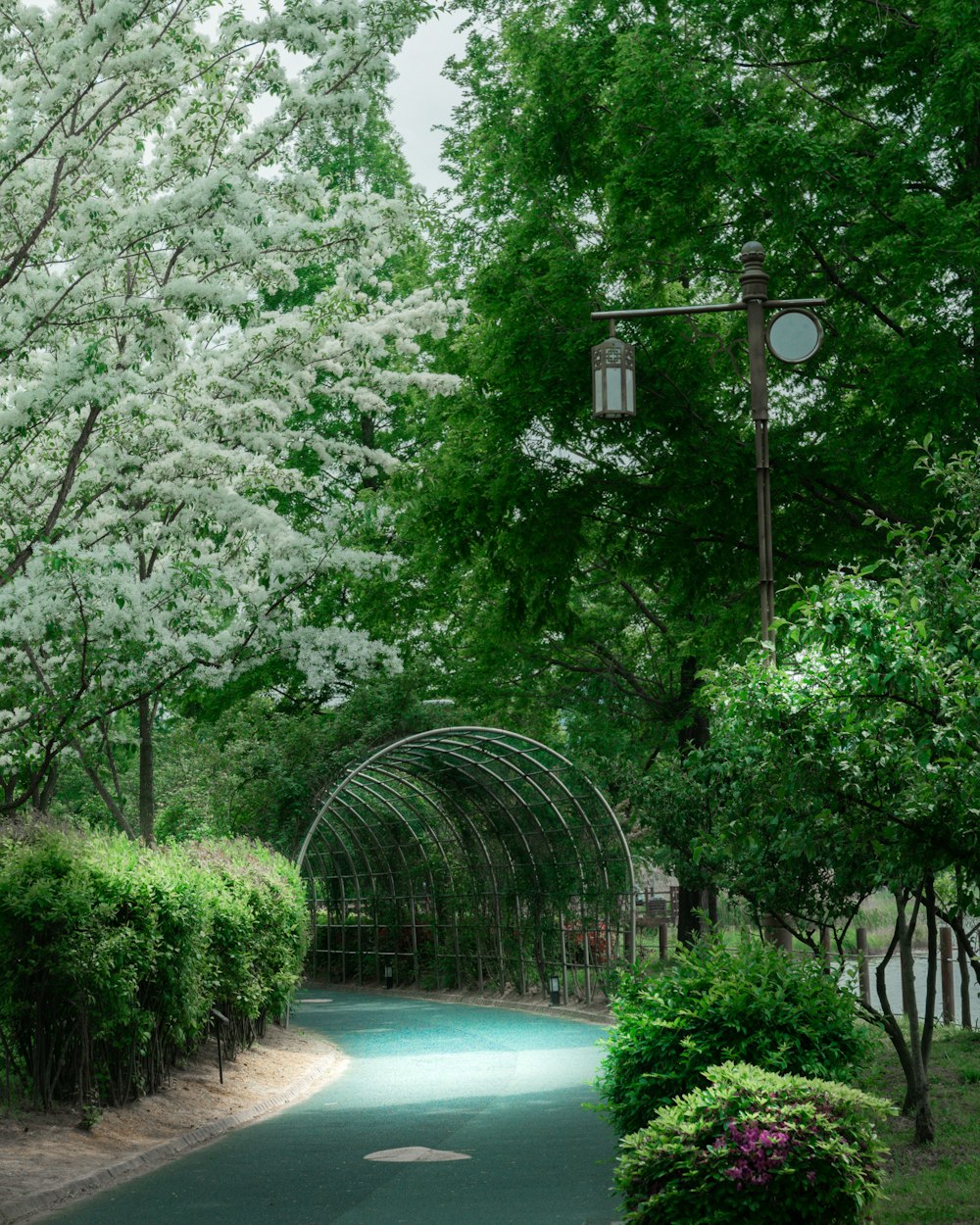 una passerella con alberi e un ponte