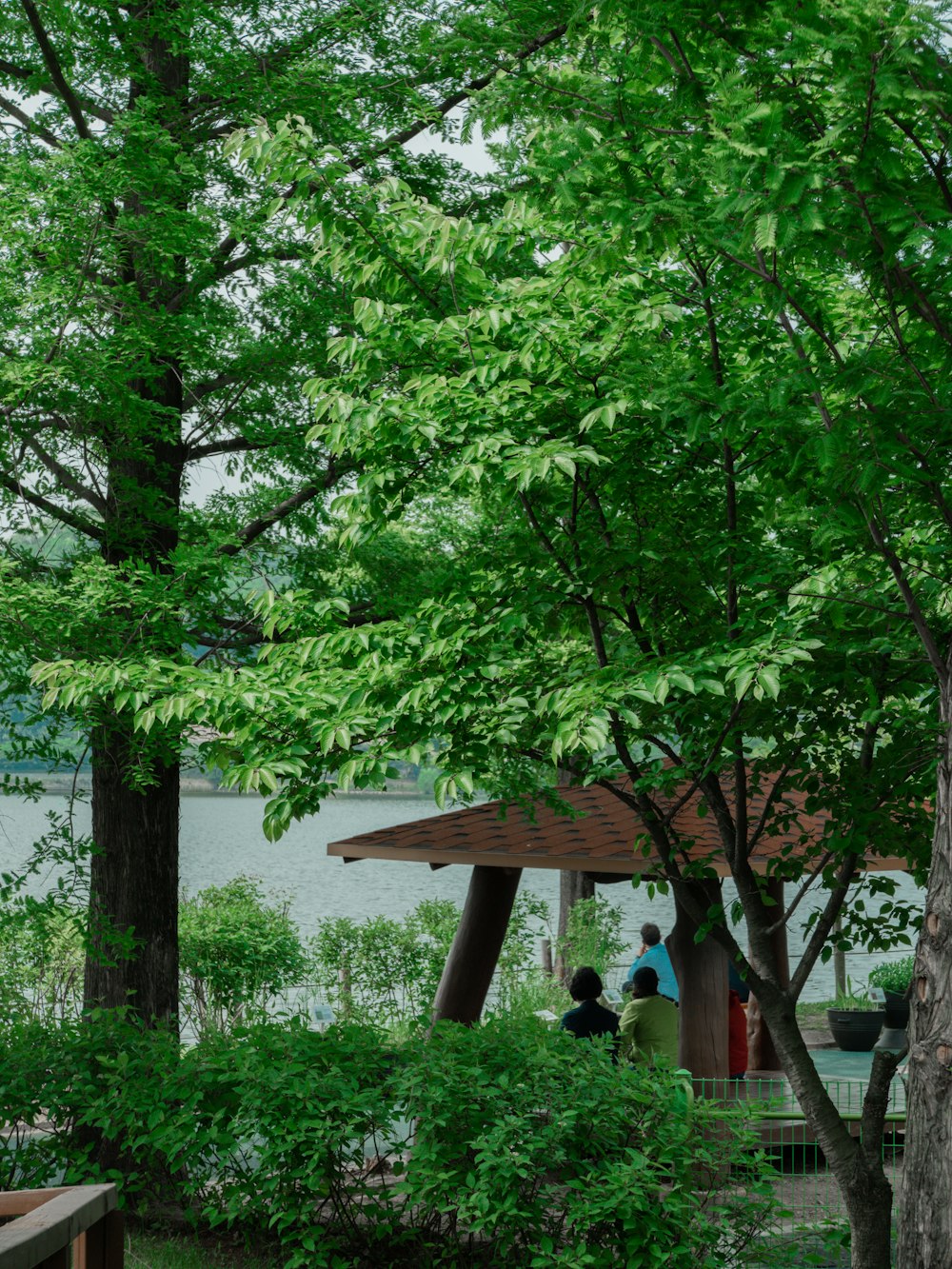 a group of people walking through a forest