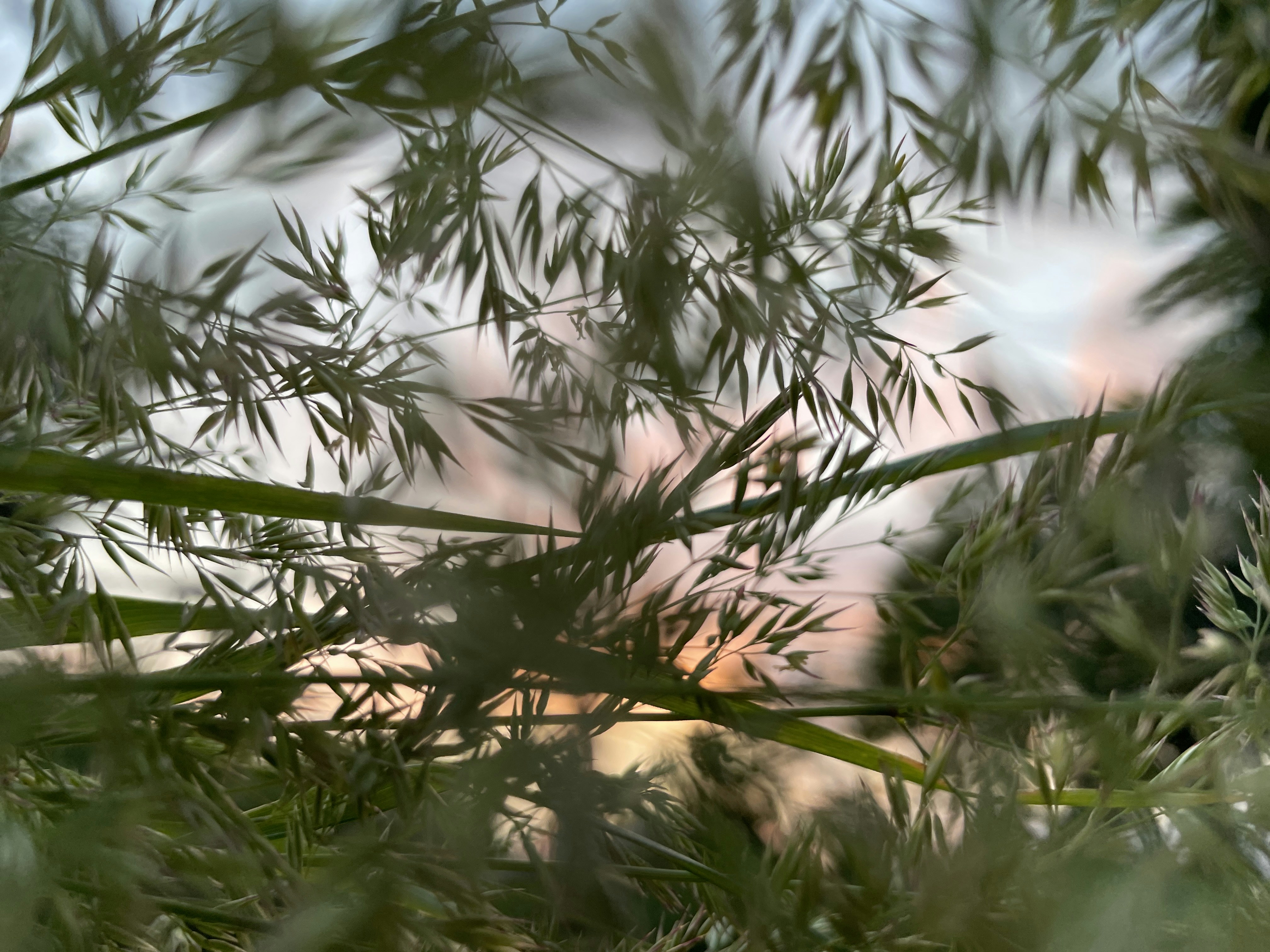 Photo by hecticaesthetic