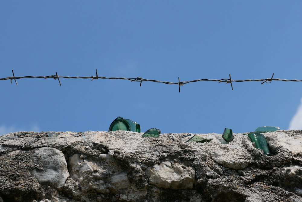 a group of green objects on a wire fence