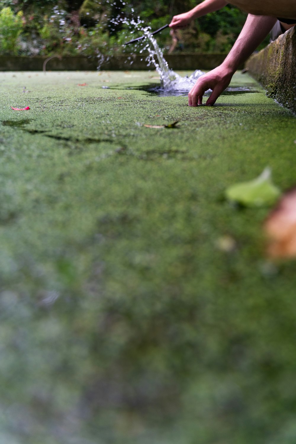 a person spraying water on grass