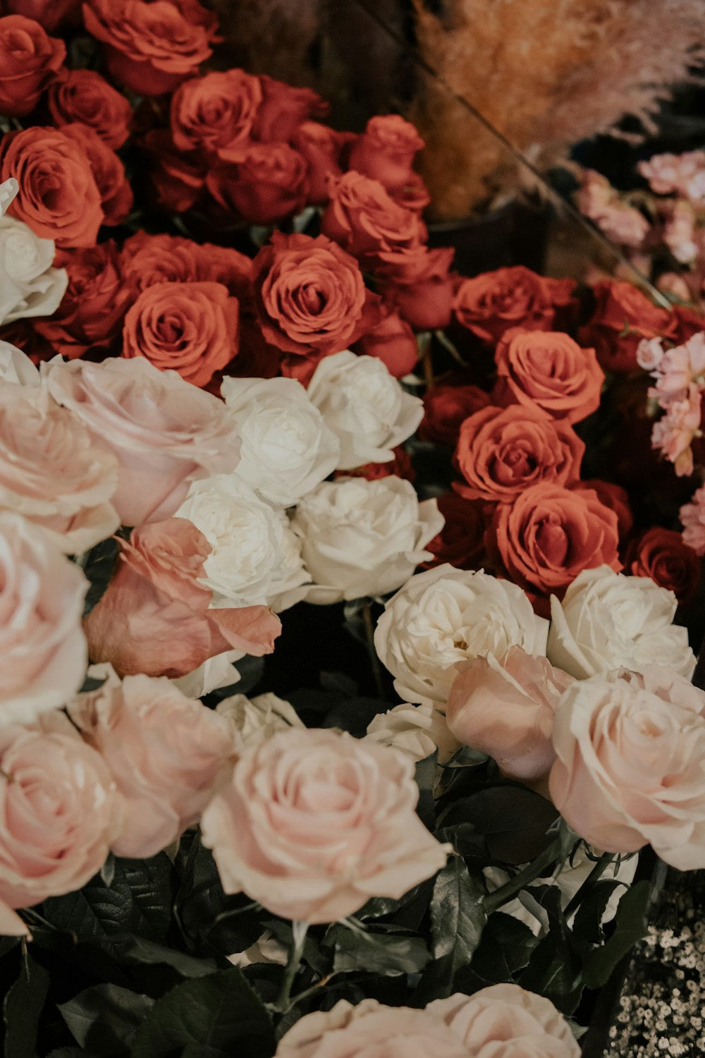 a group of pink and white flowers