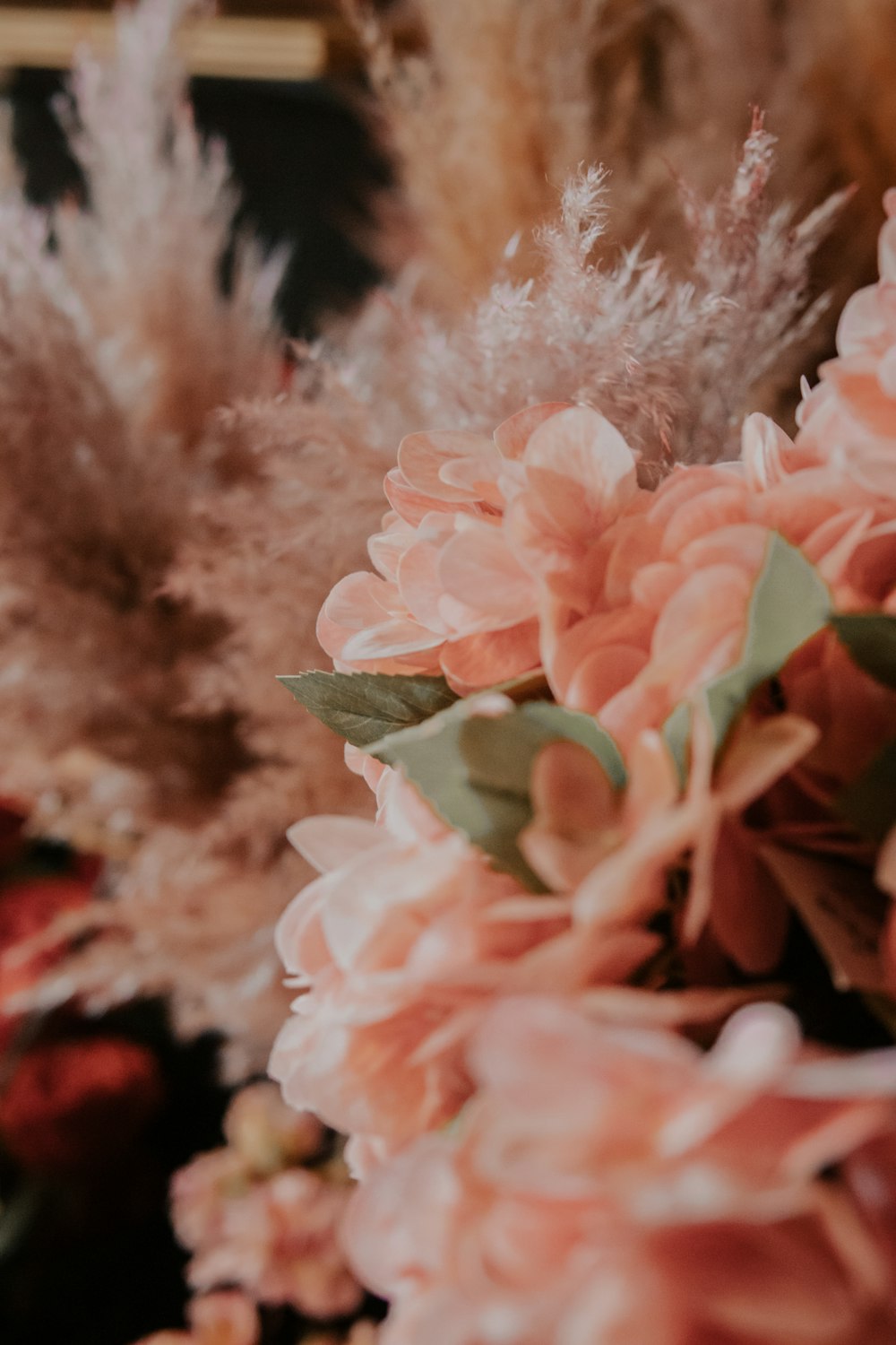 a close up of pink flowers