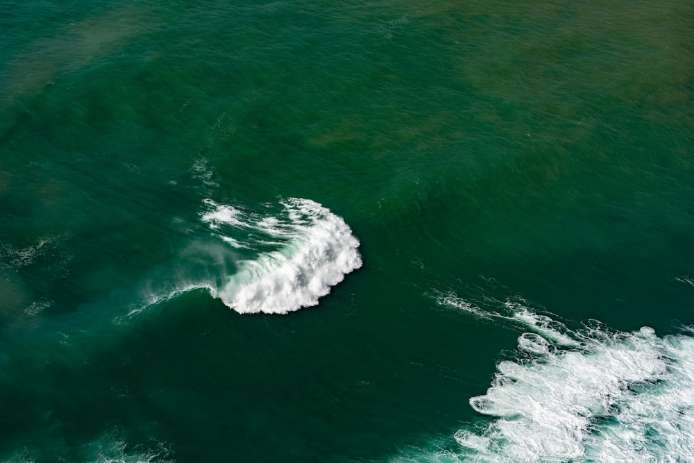 a whale in the ocean