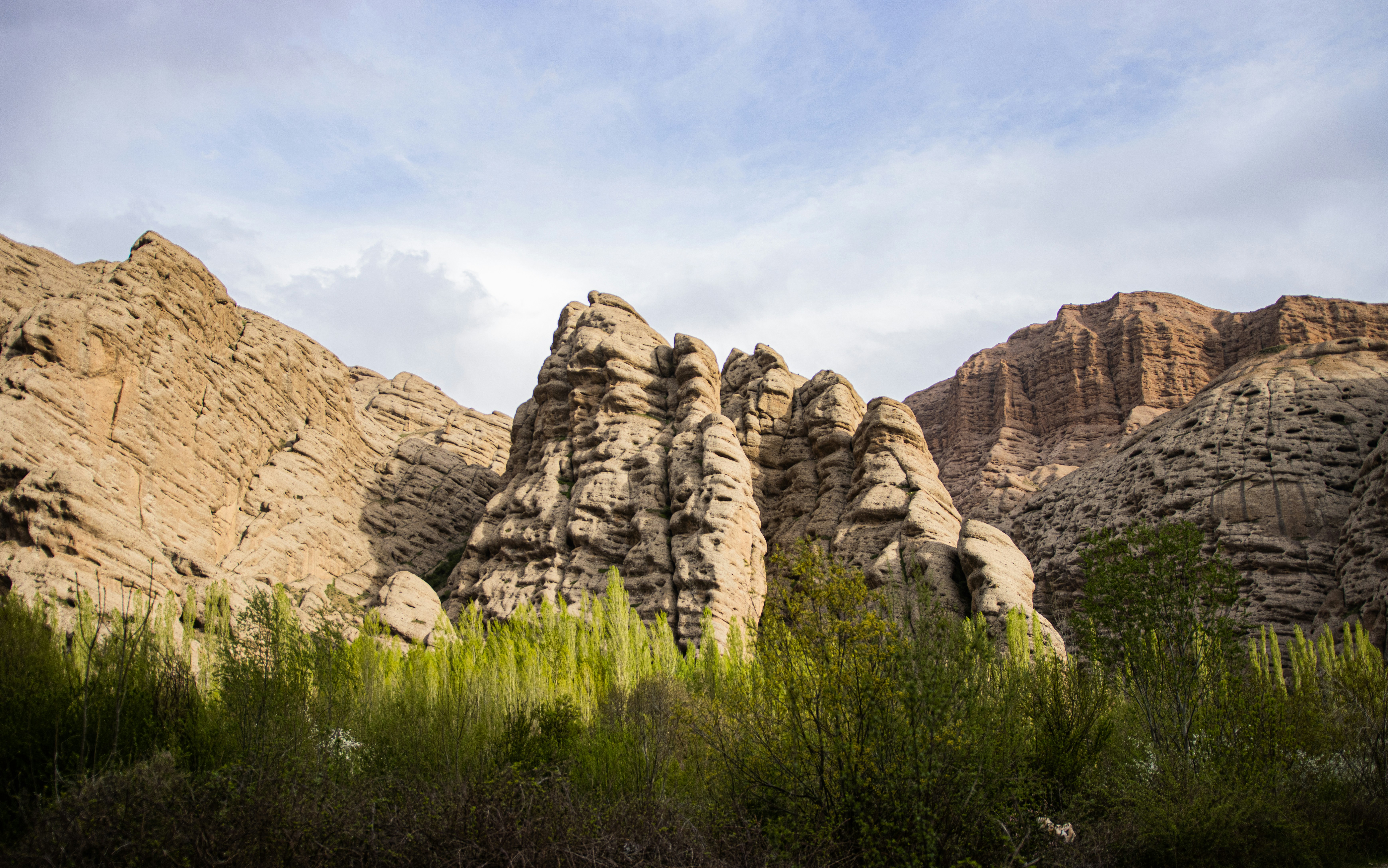 Photo by bmohsenzadeh