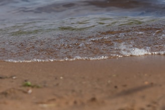 Gentle waves lapping at a serene lakeshore.