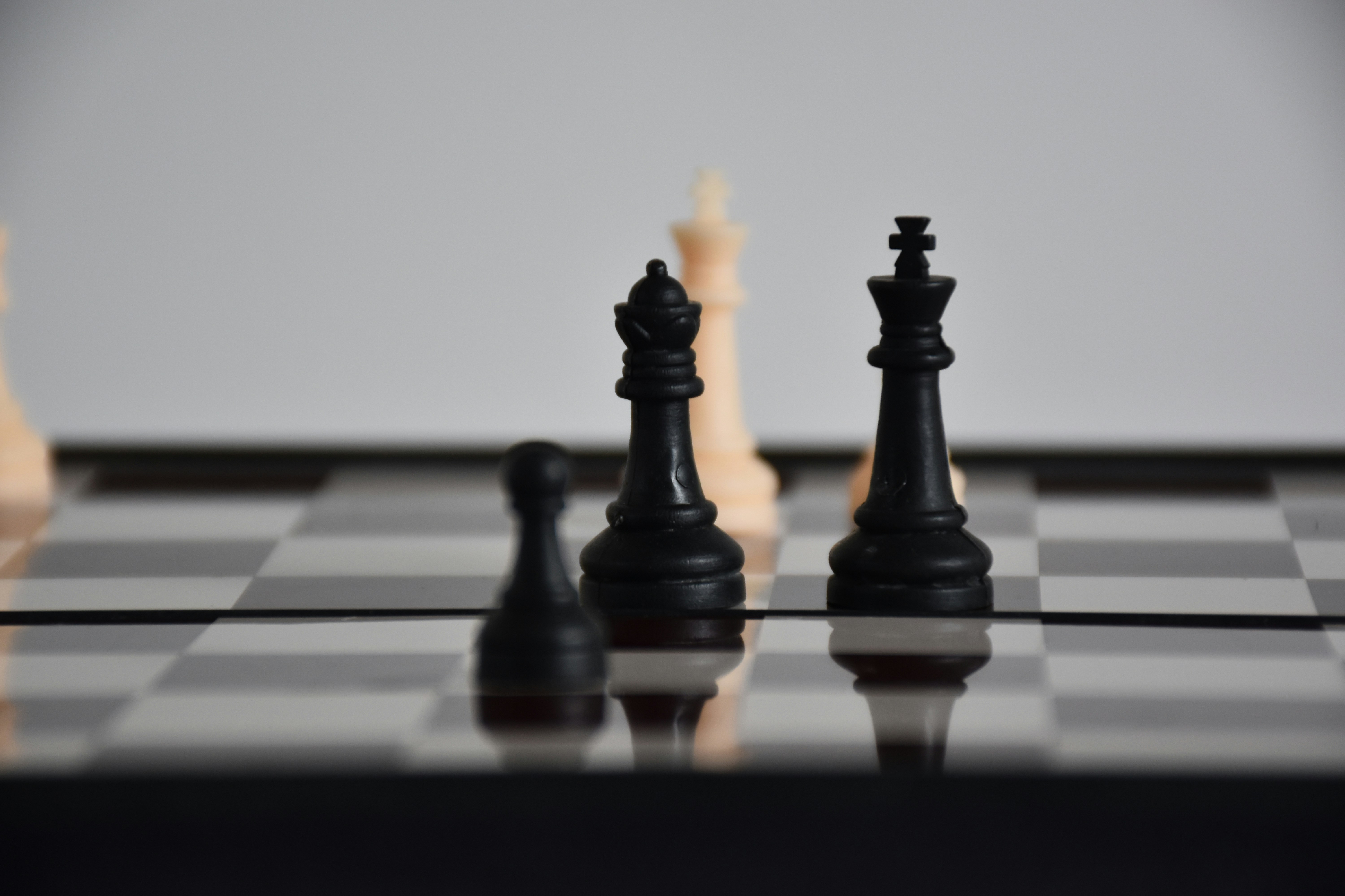 Photo by unflashbuddika