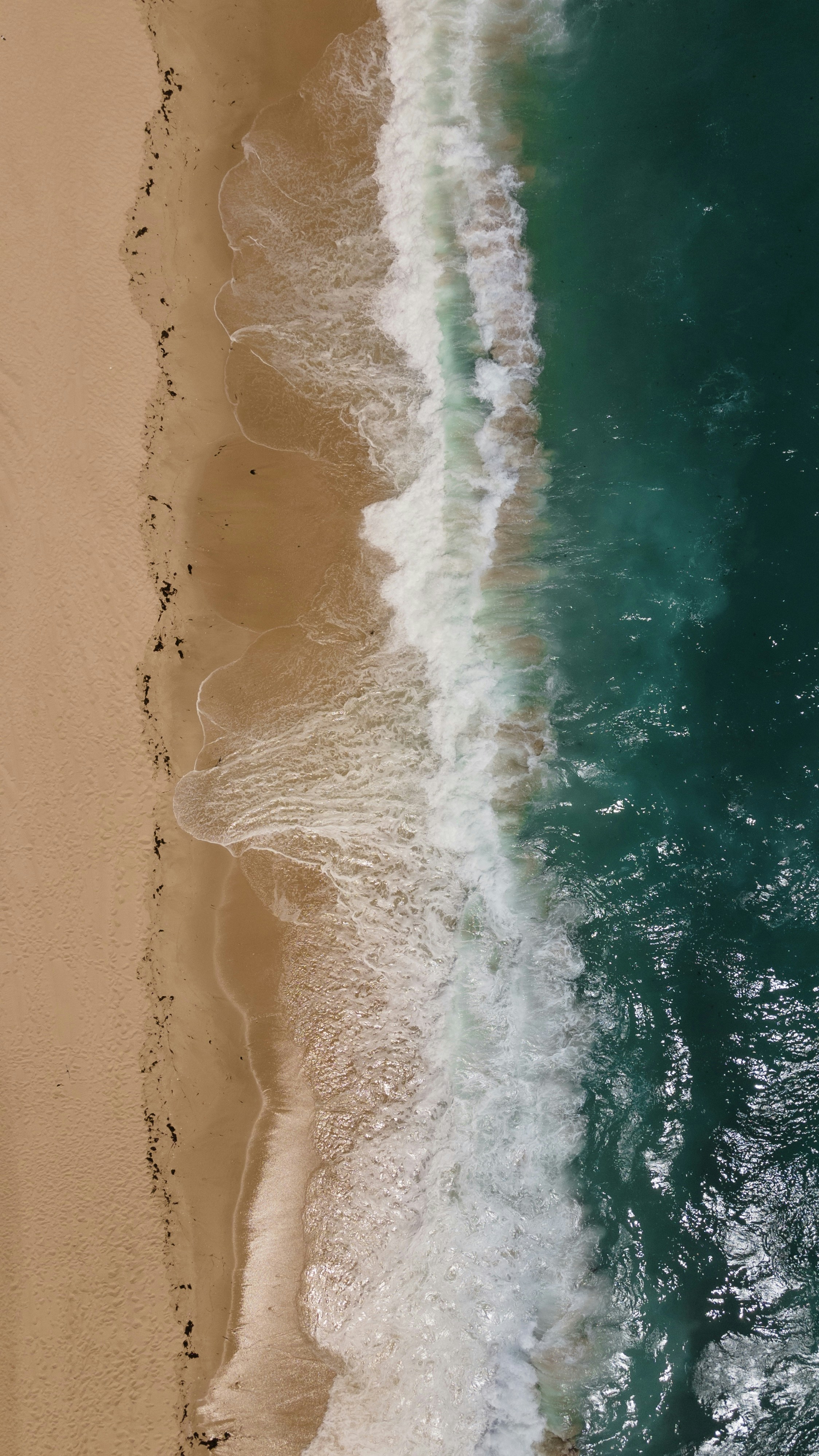 Photo by tannermyler