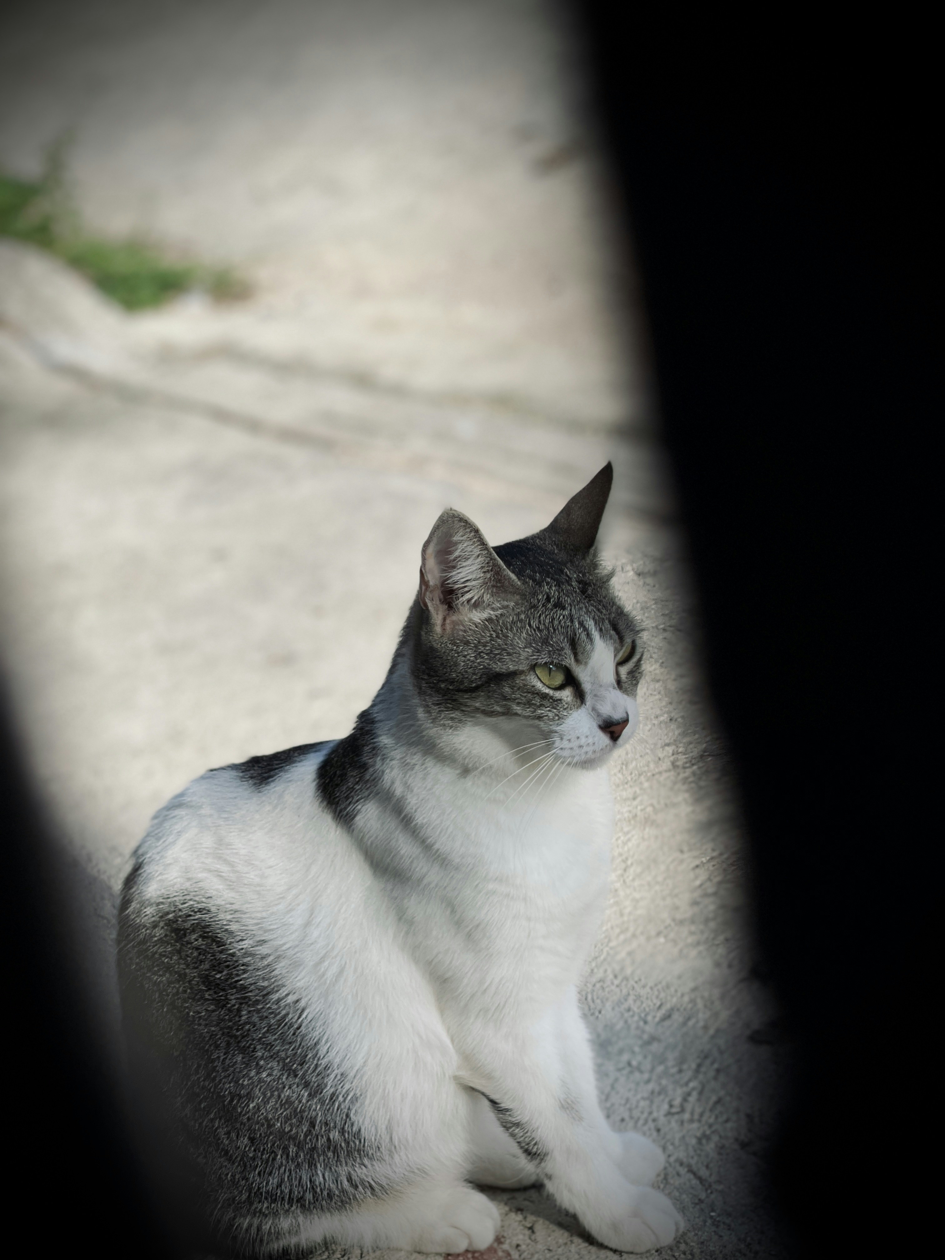 Photo by joshdam_oficcial