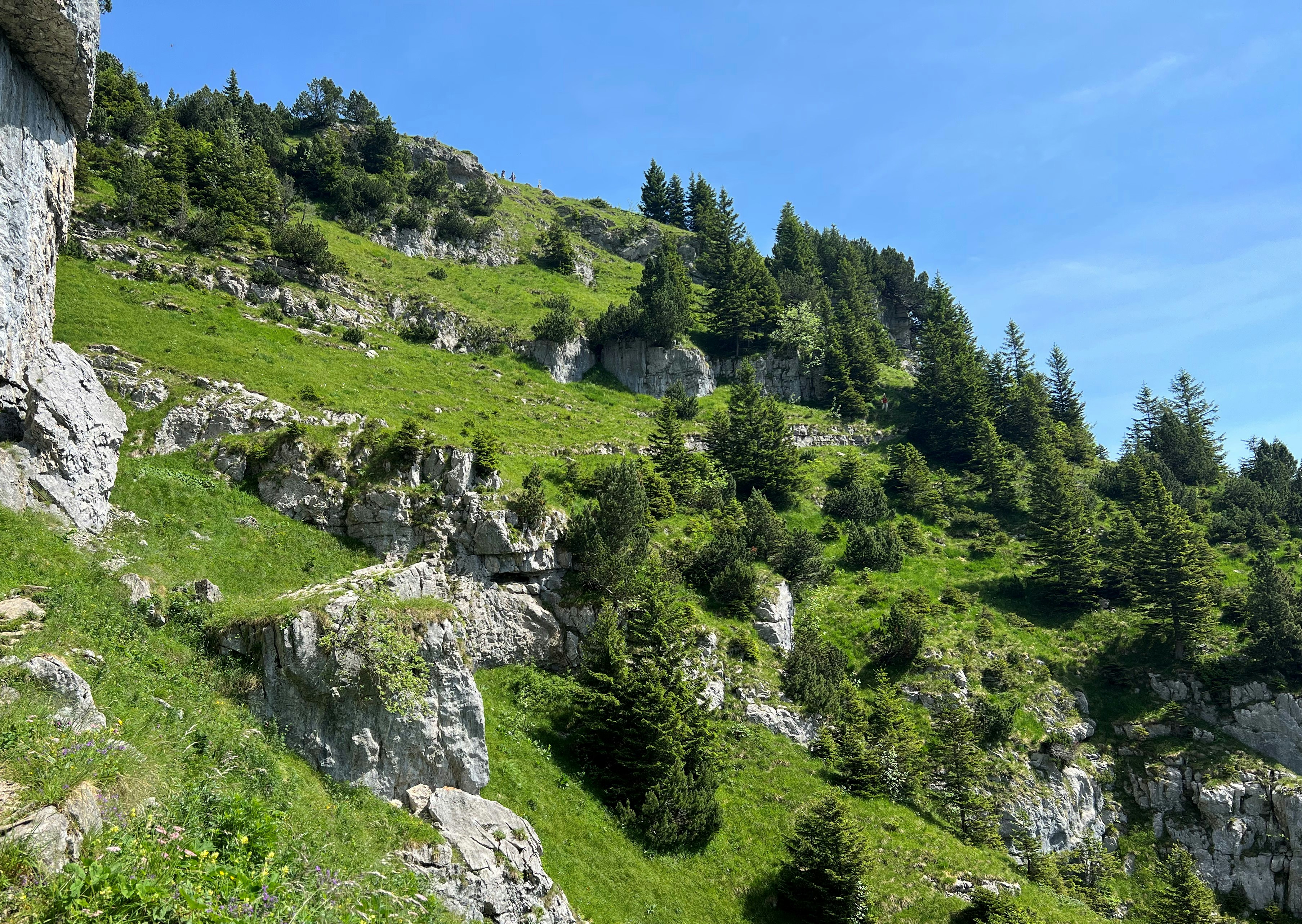 Photo by mike_loftus