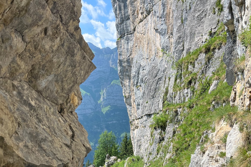 a river between rocky cliffs