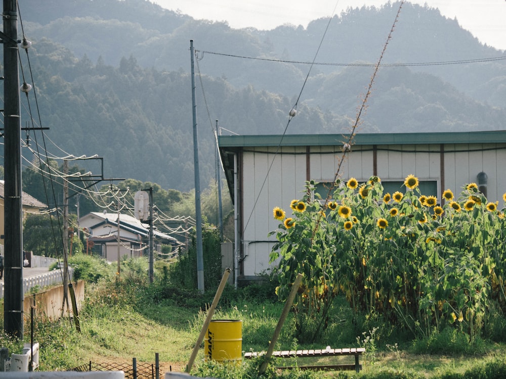 una casa con un gran jardín frente a ella