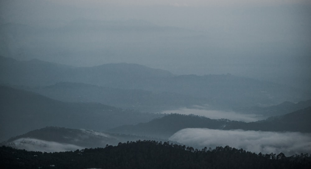 a foggy valley with trees