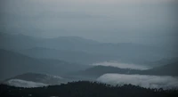 Best Pubs in Mukteshwar: Where Locals Actually Drink