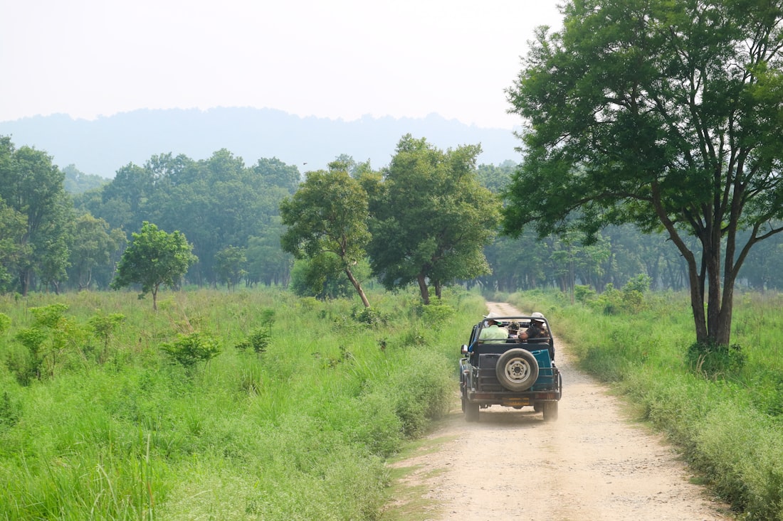 JIM CORBETT — INTO THE WILD