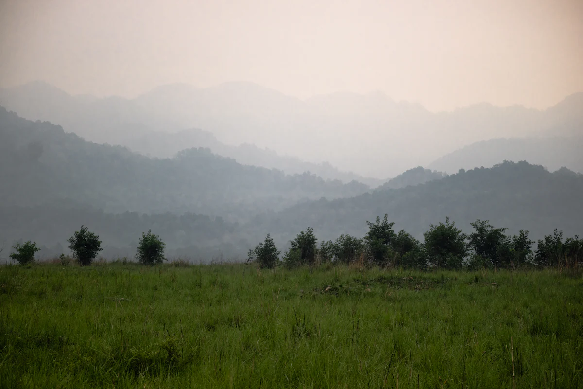 Kaladhungi
