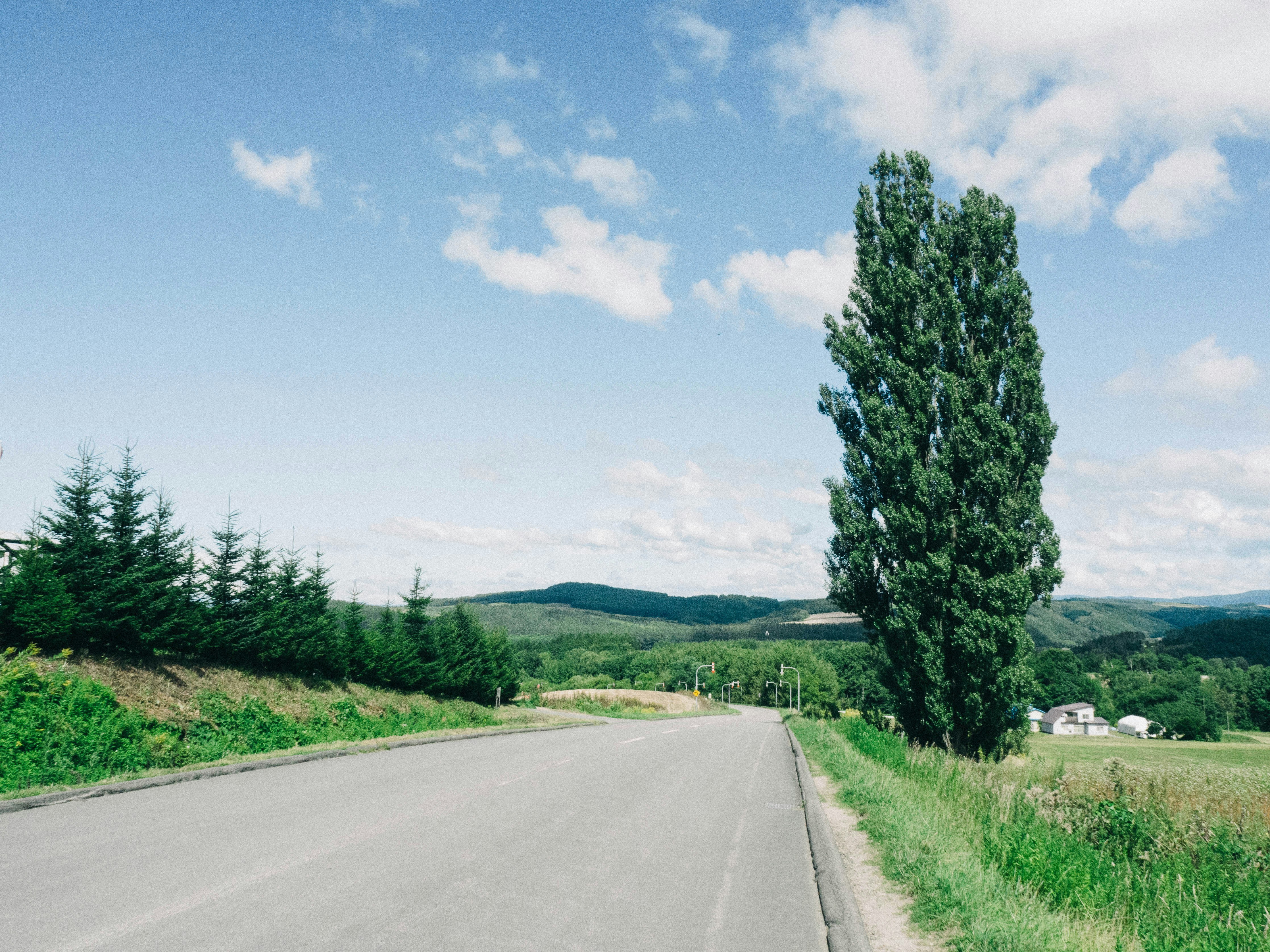 Photo by ultratunafish