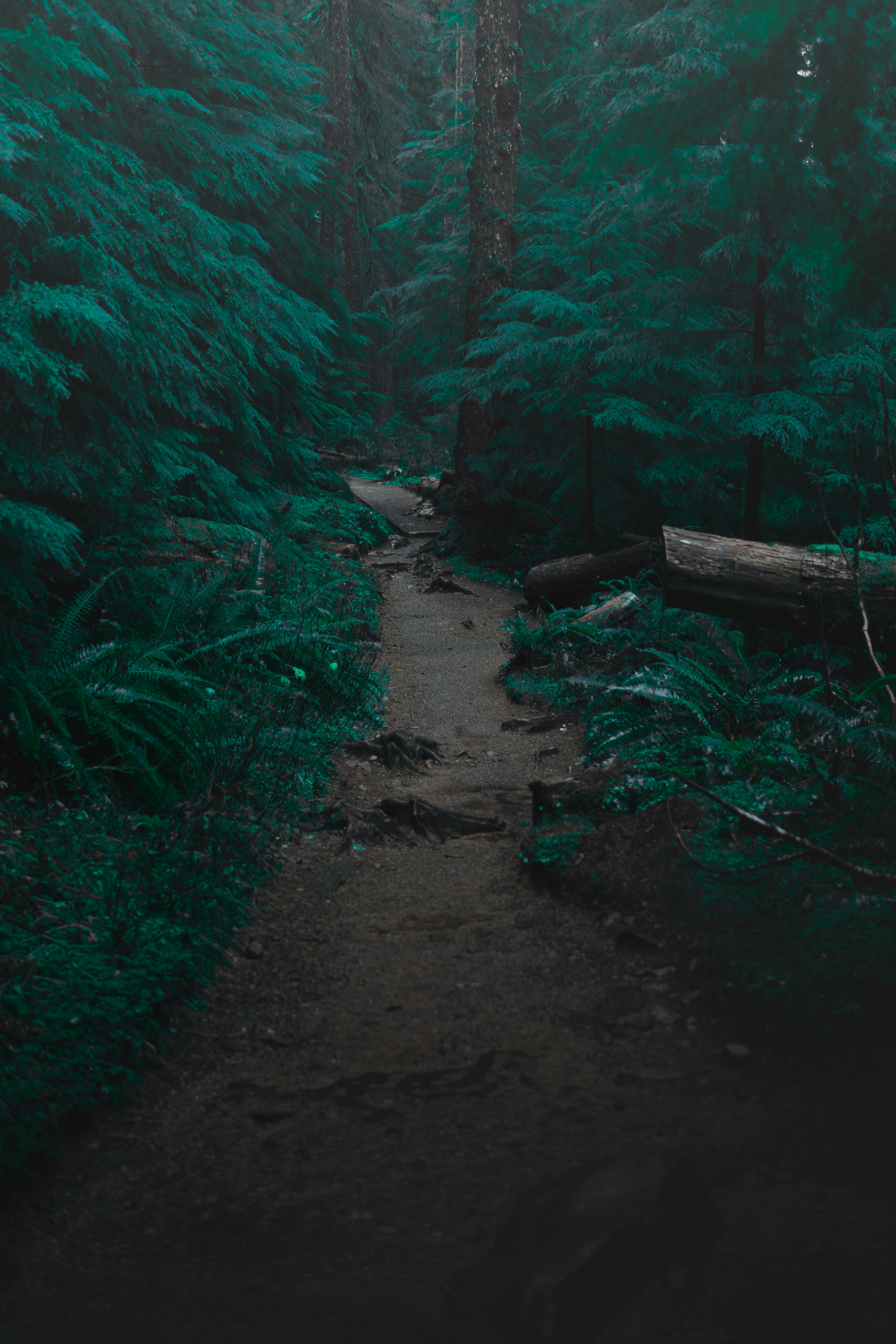 Photo by sethmaughan