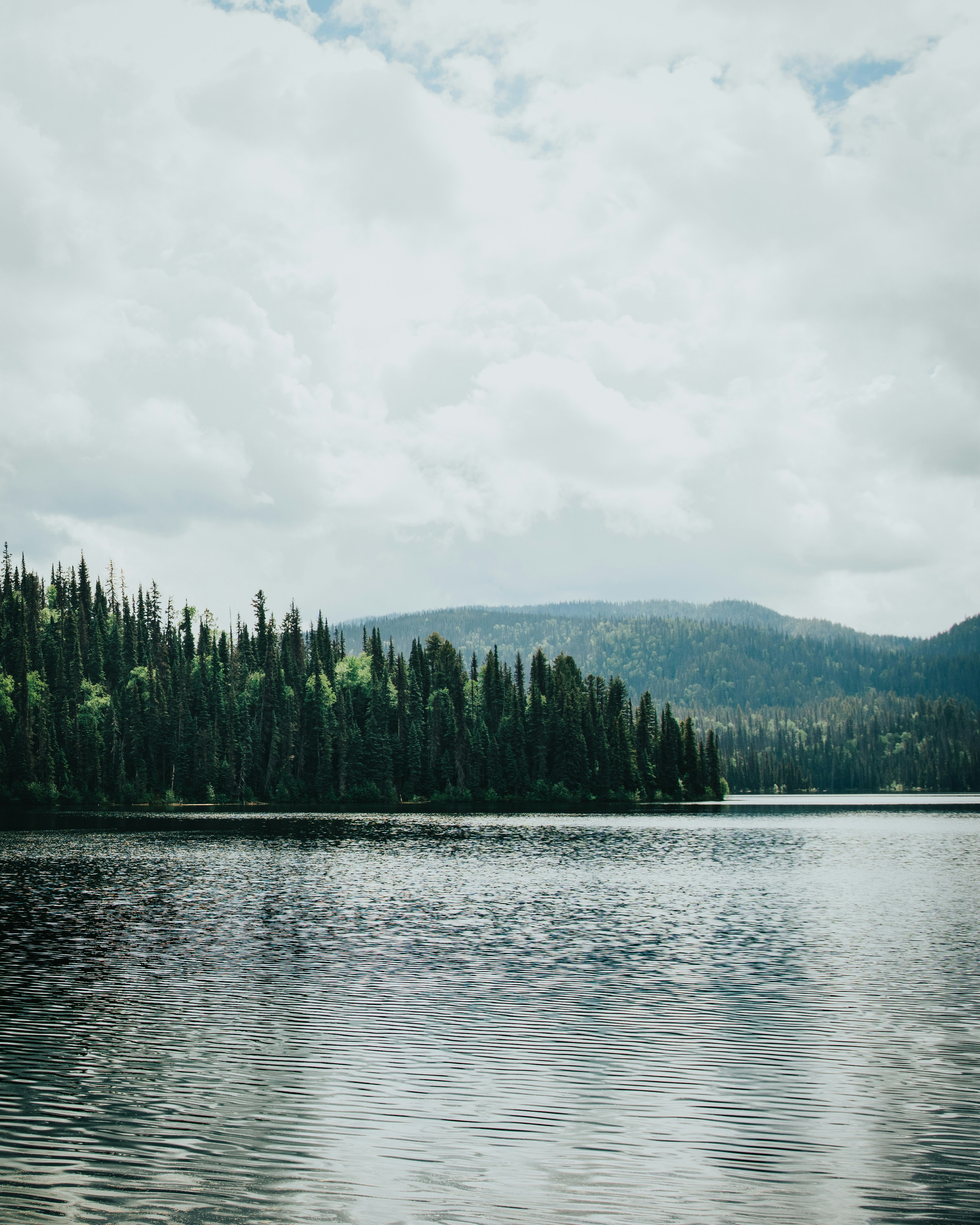 Photo by harsh_singh_c