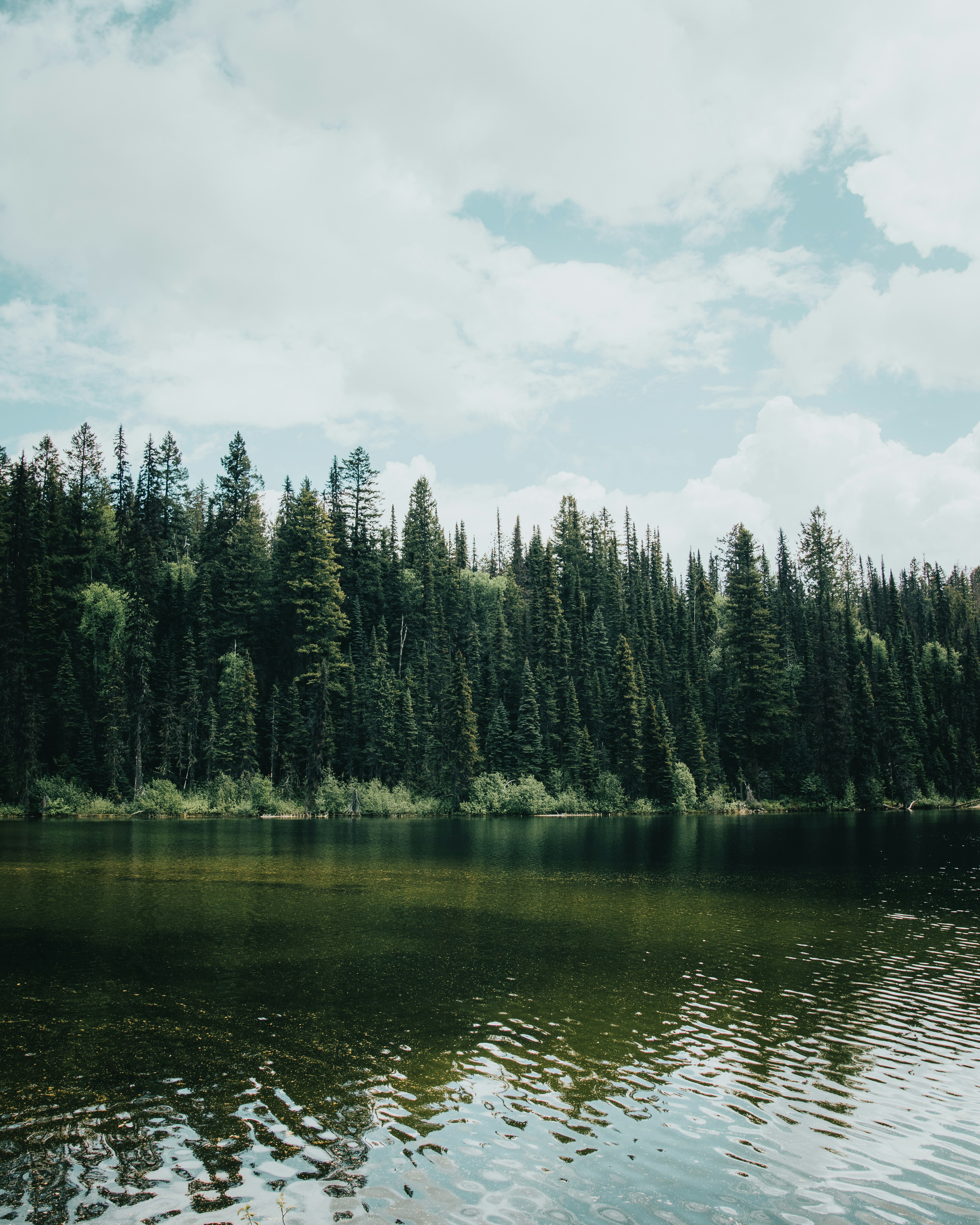 Photo by harsh_singh_c