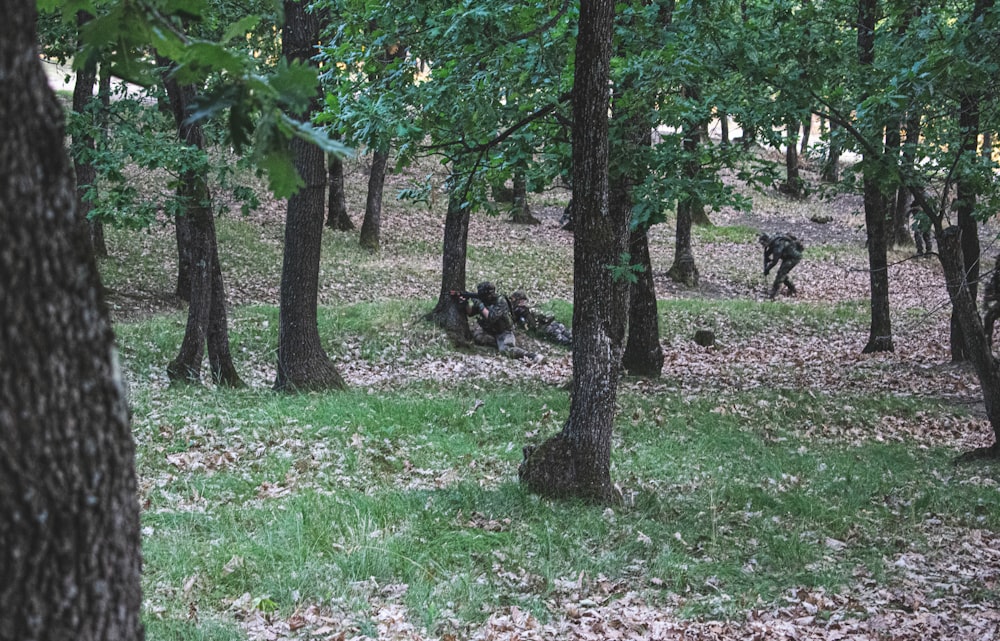 a dog in a park