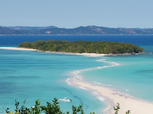 a beach with blue water and trees