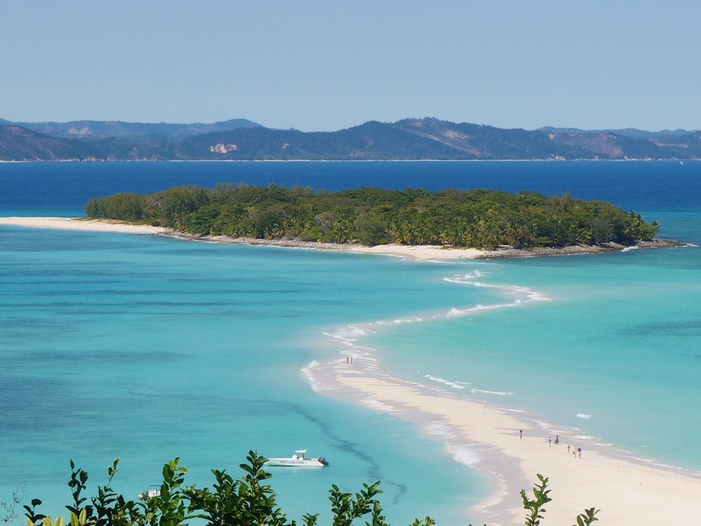 a beach with blue water and trees