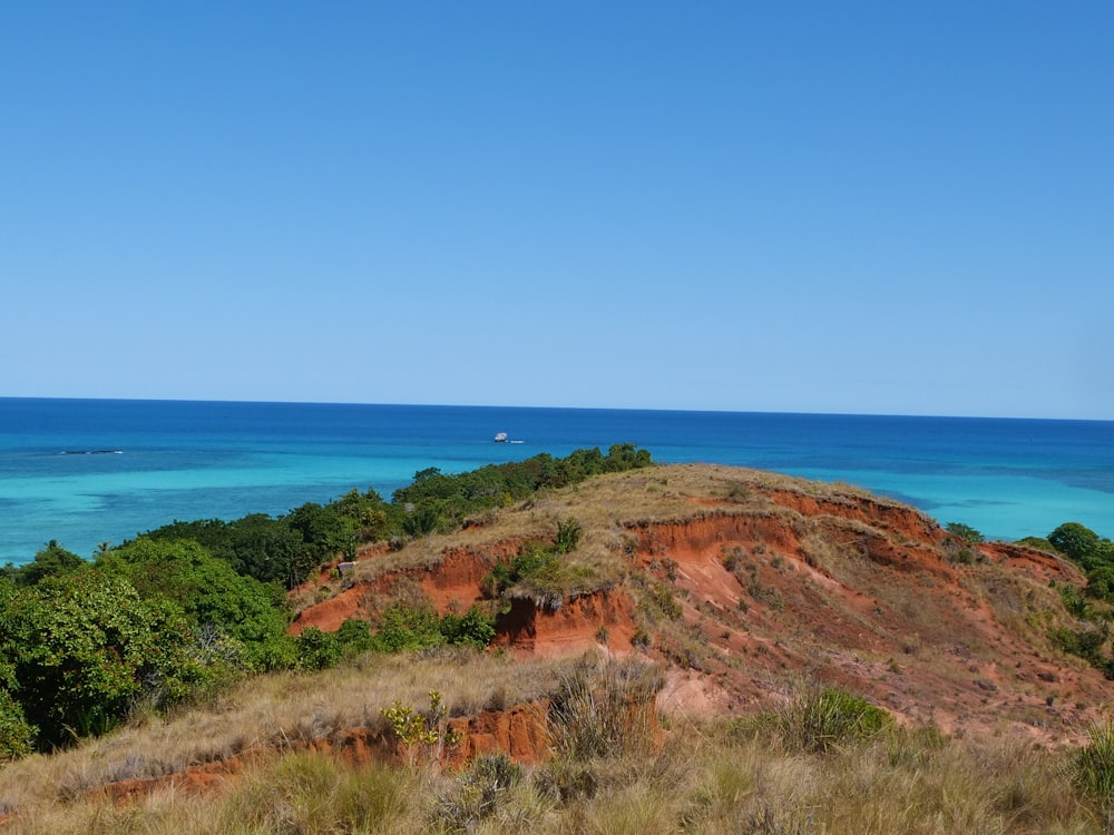 a hill with bushes and trees by the ocean