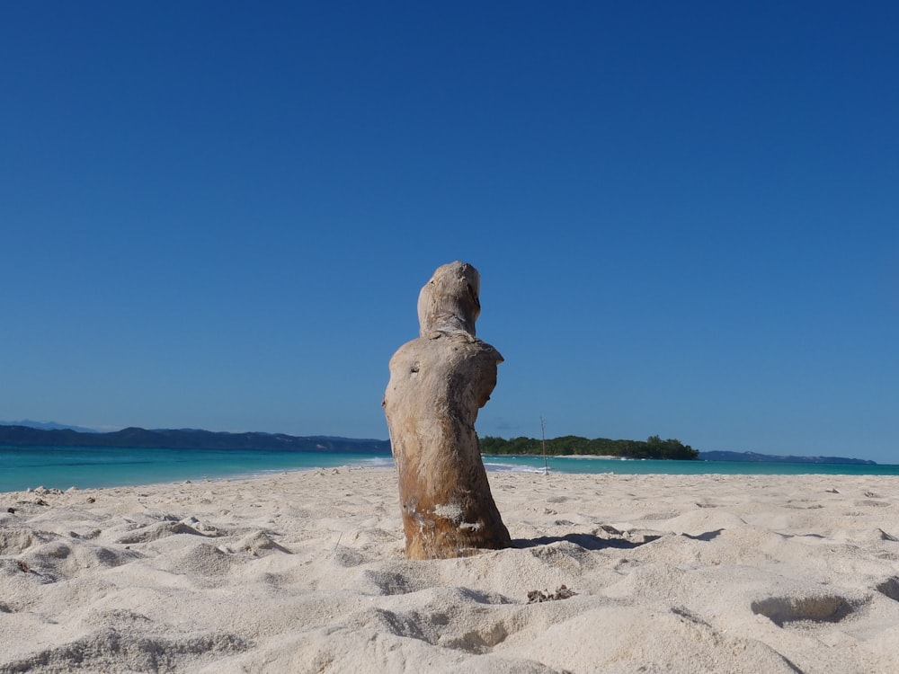 a rock on a beach