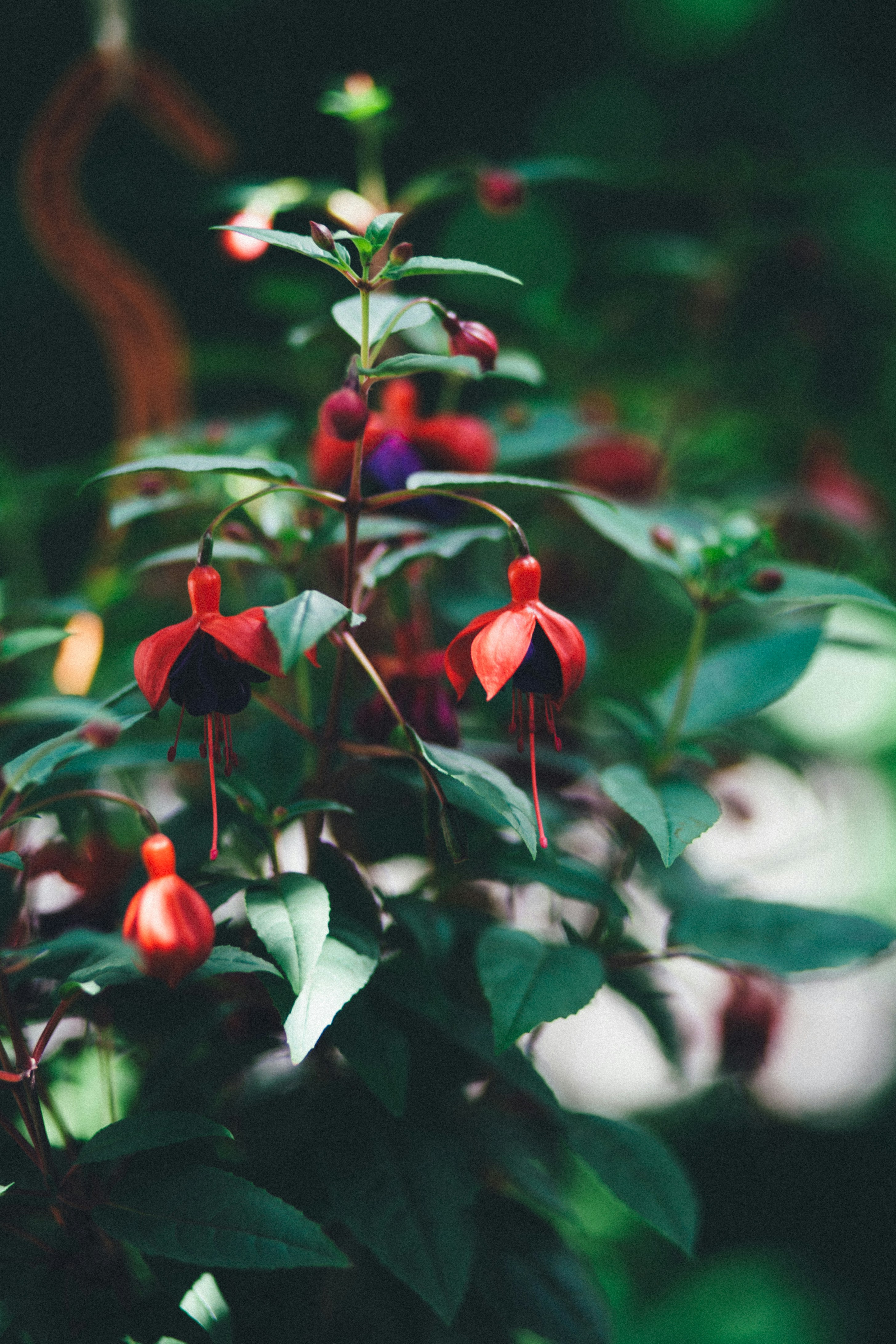 Photo by skatienstuksuma