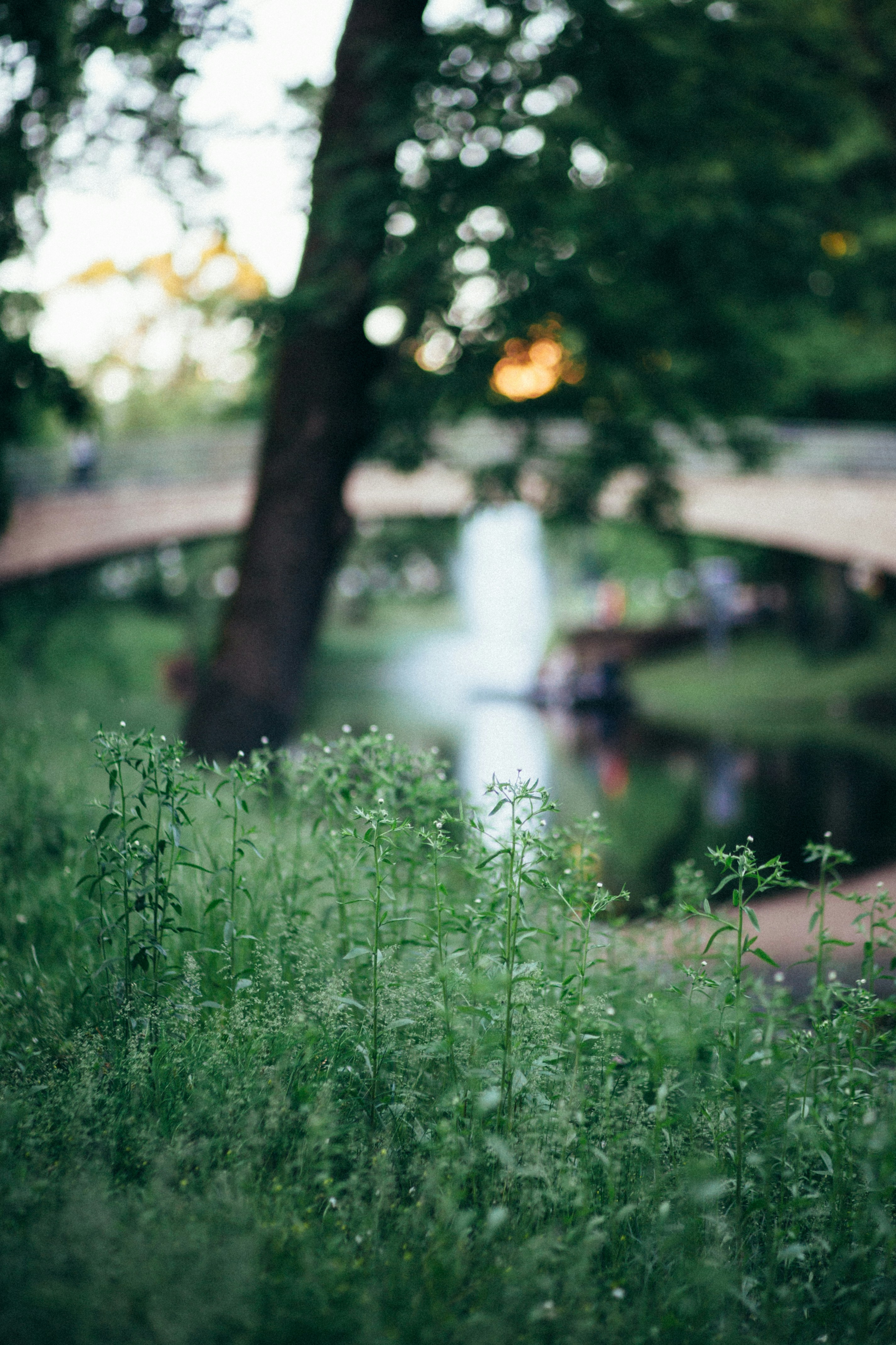 Photo by skatienstuksuma