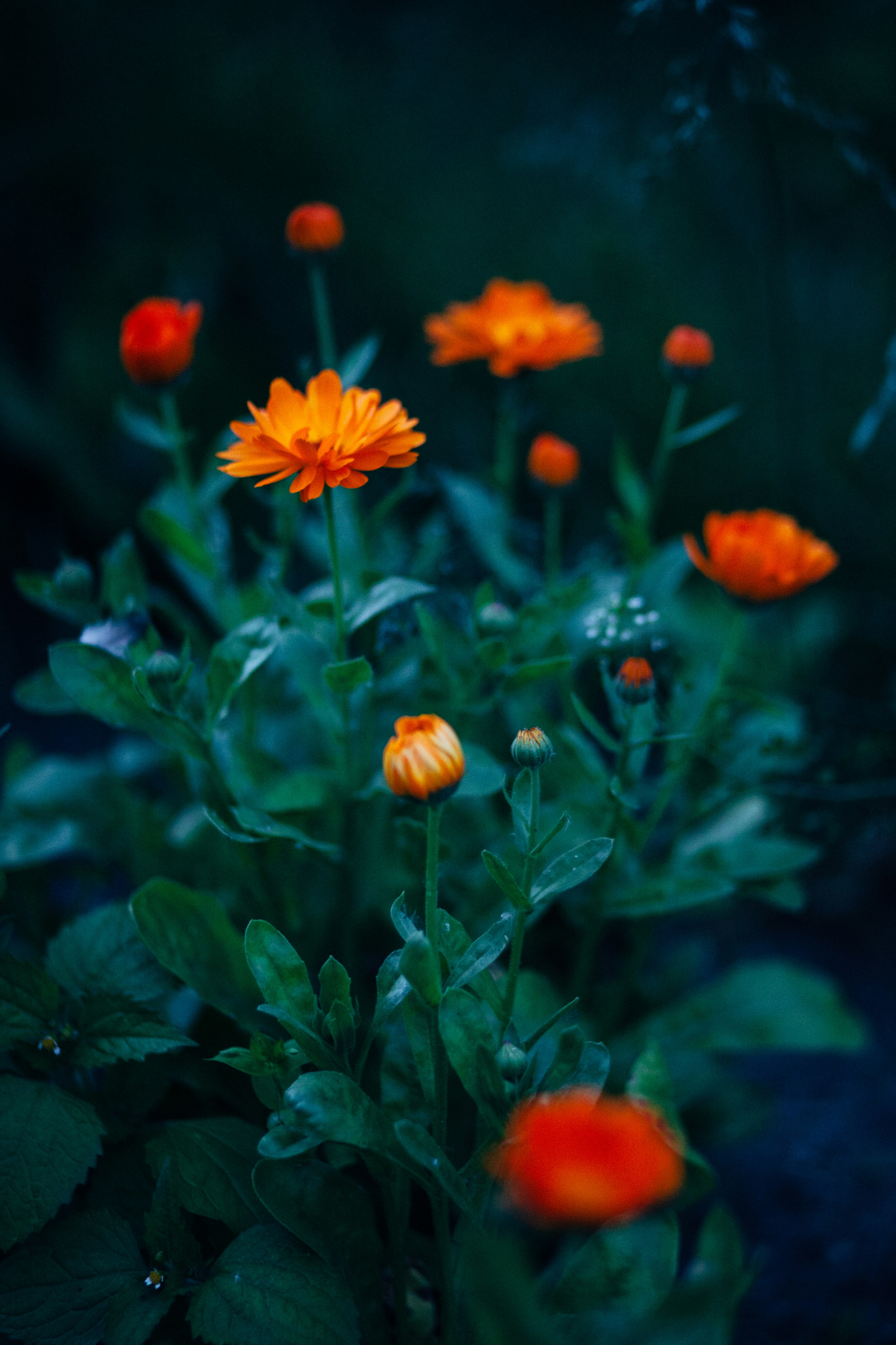 Photo by skatienstuksuma