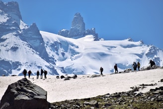 a group of people on a snowy mountain