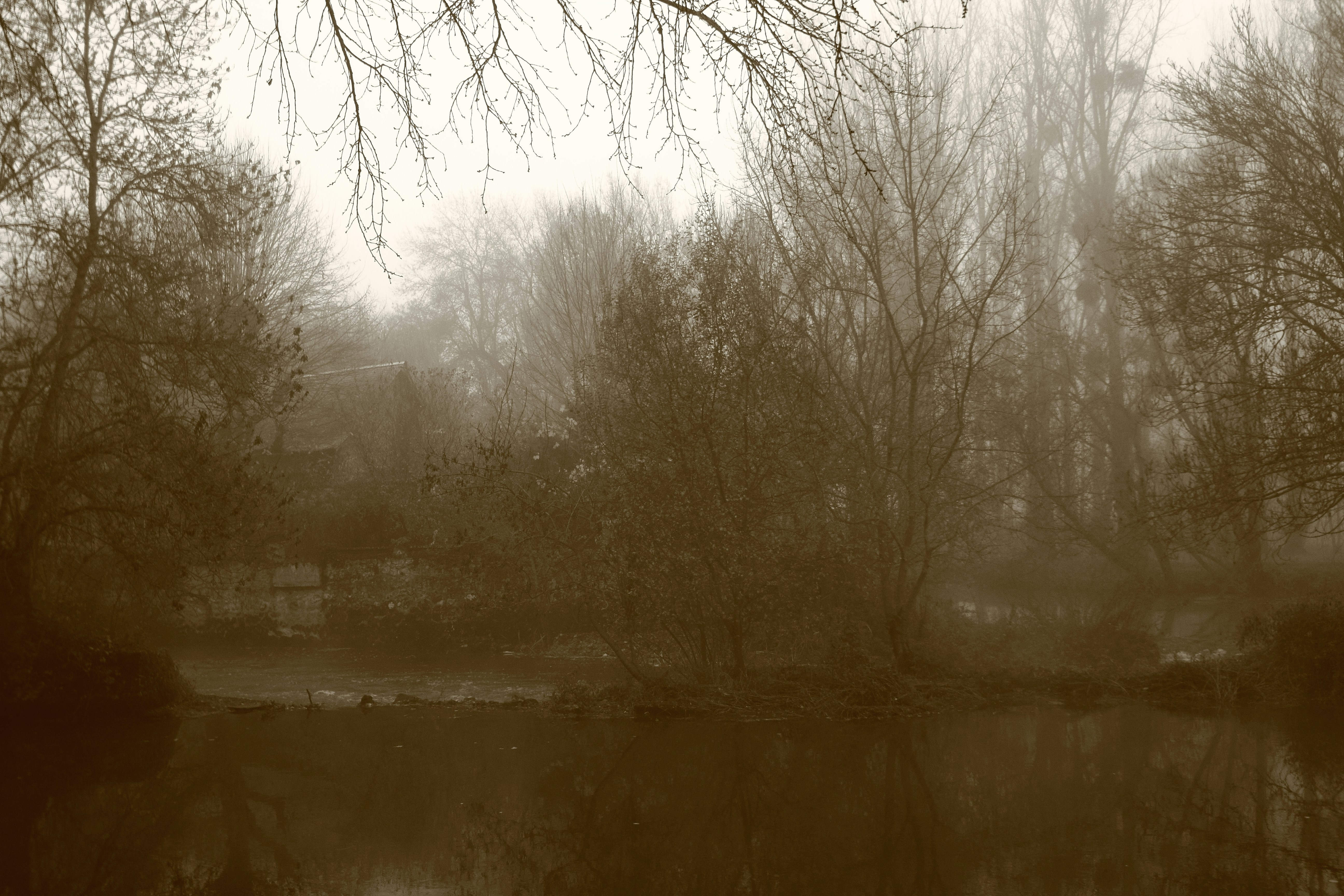 Photo by davidterriot37