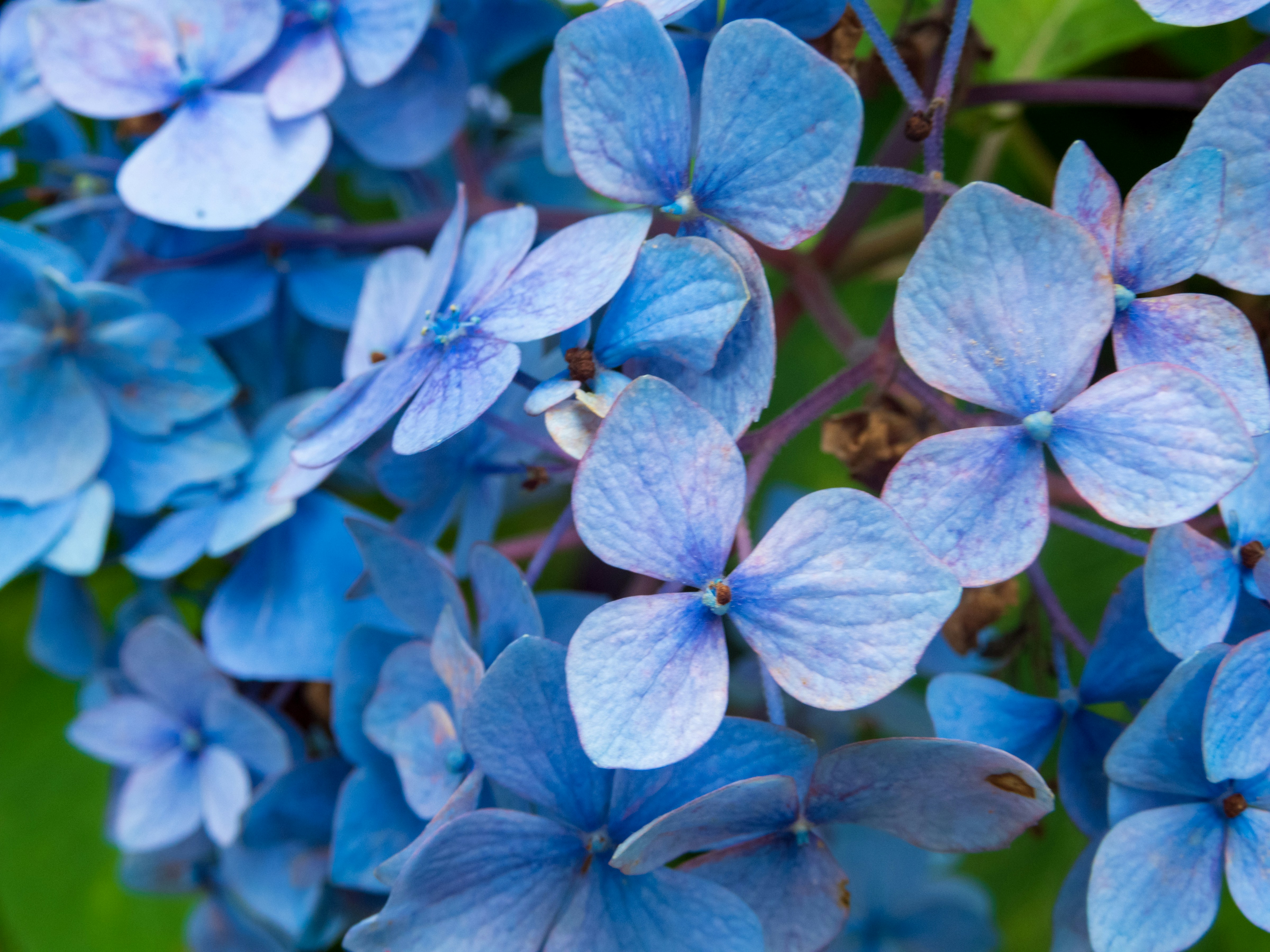 Photo by heppoko_yama