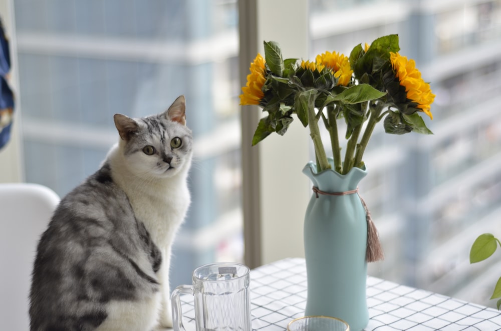 a cat sitting next to a vase of flowers