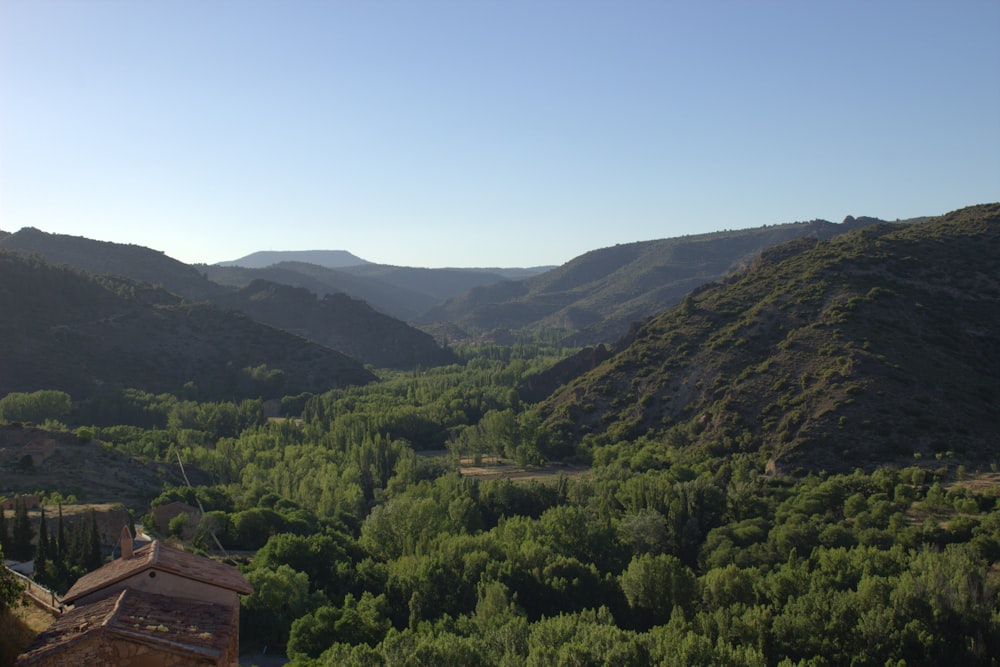 a landscape with trees and hills