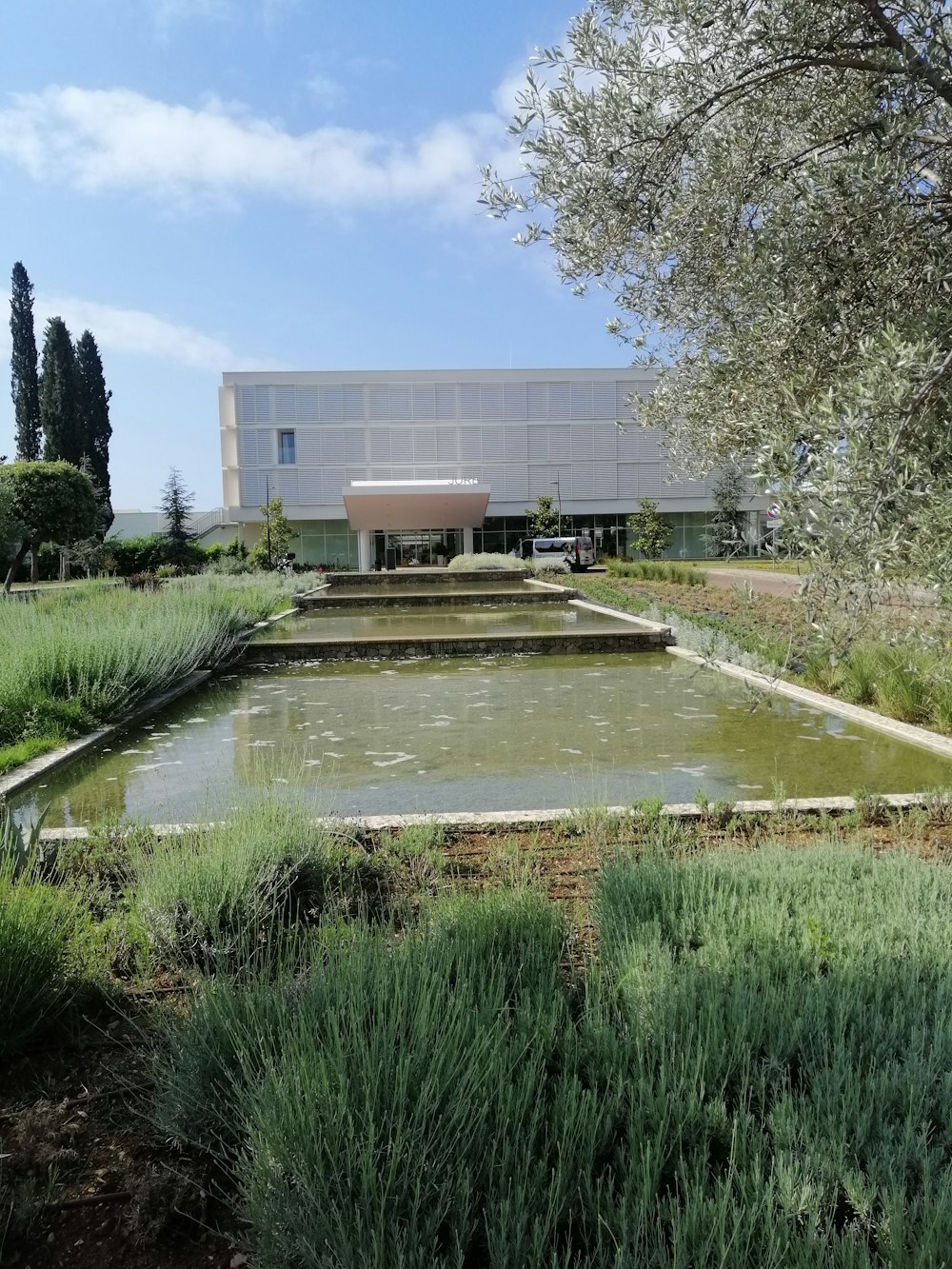 a pond in front of a building