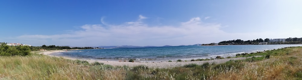 a beach with grass and water