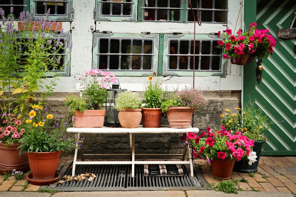 a bench with potted plants outside a building