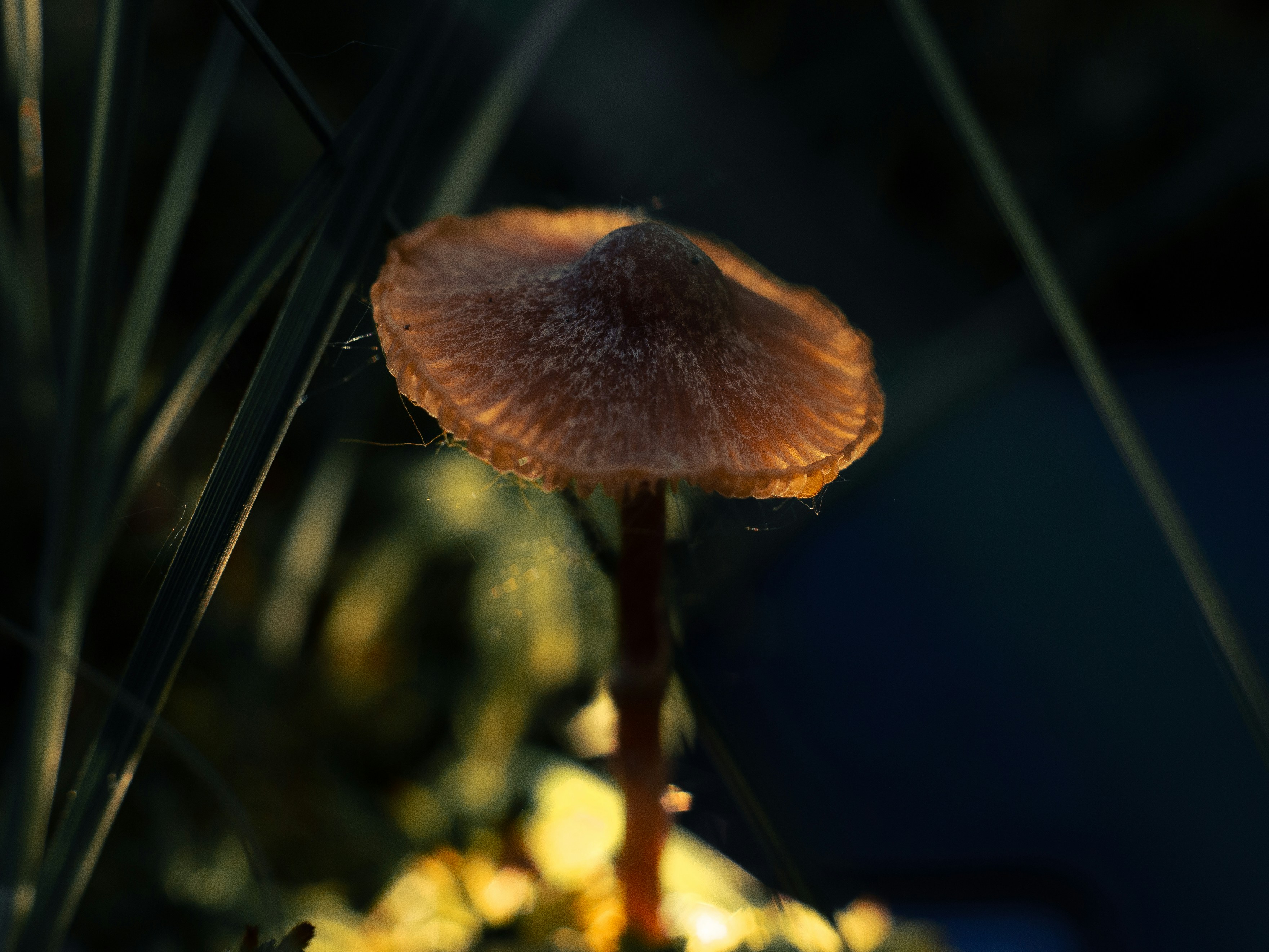 Photo by elenakasper