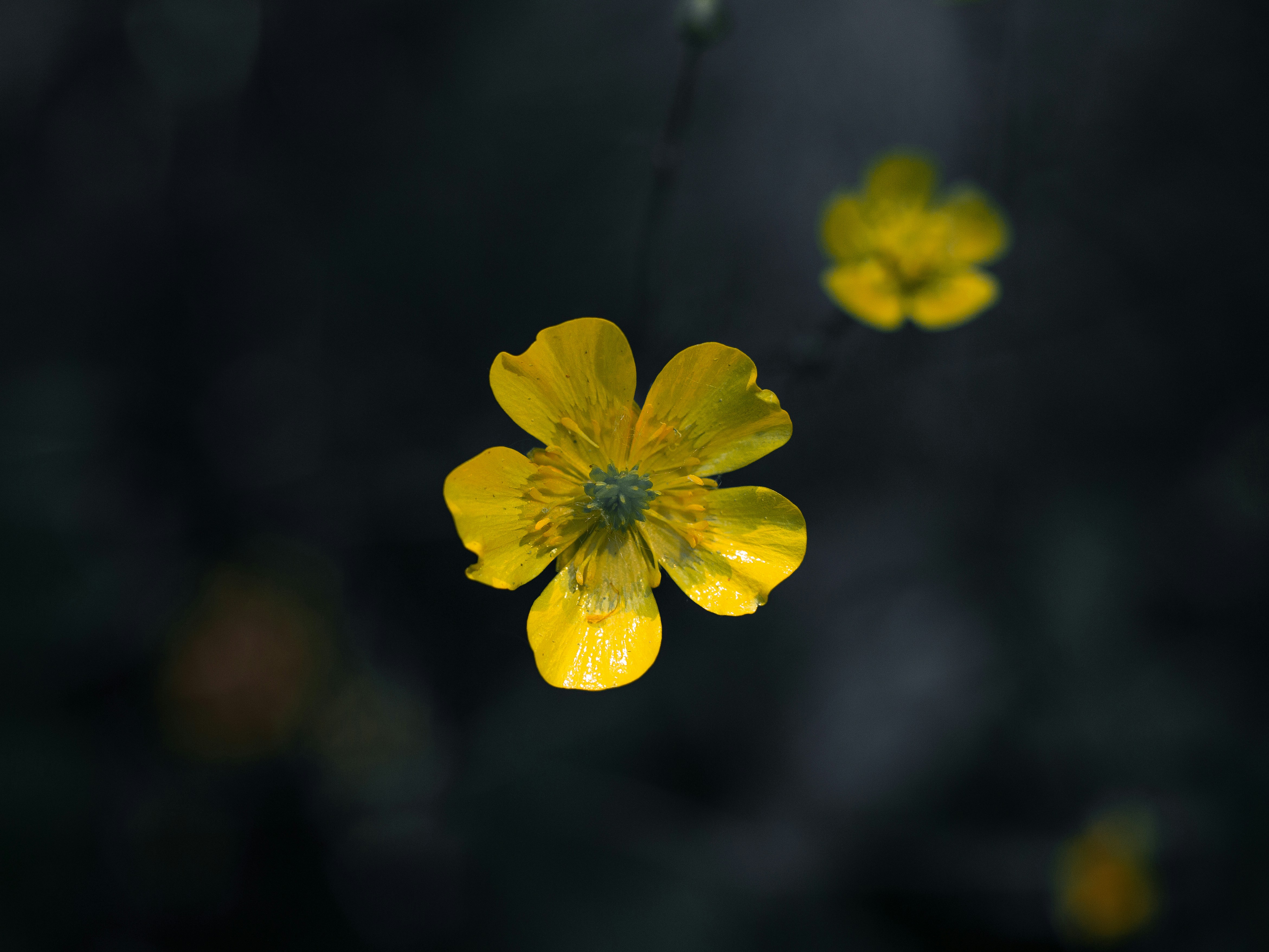 Photo by elenakasper