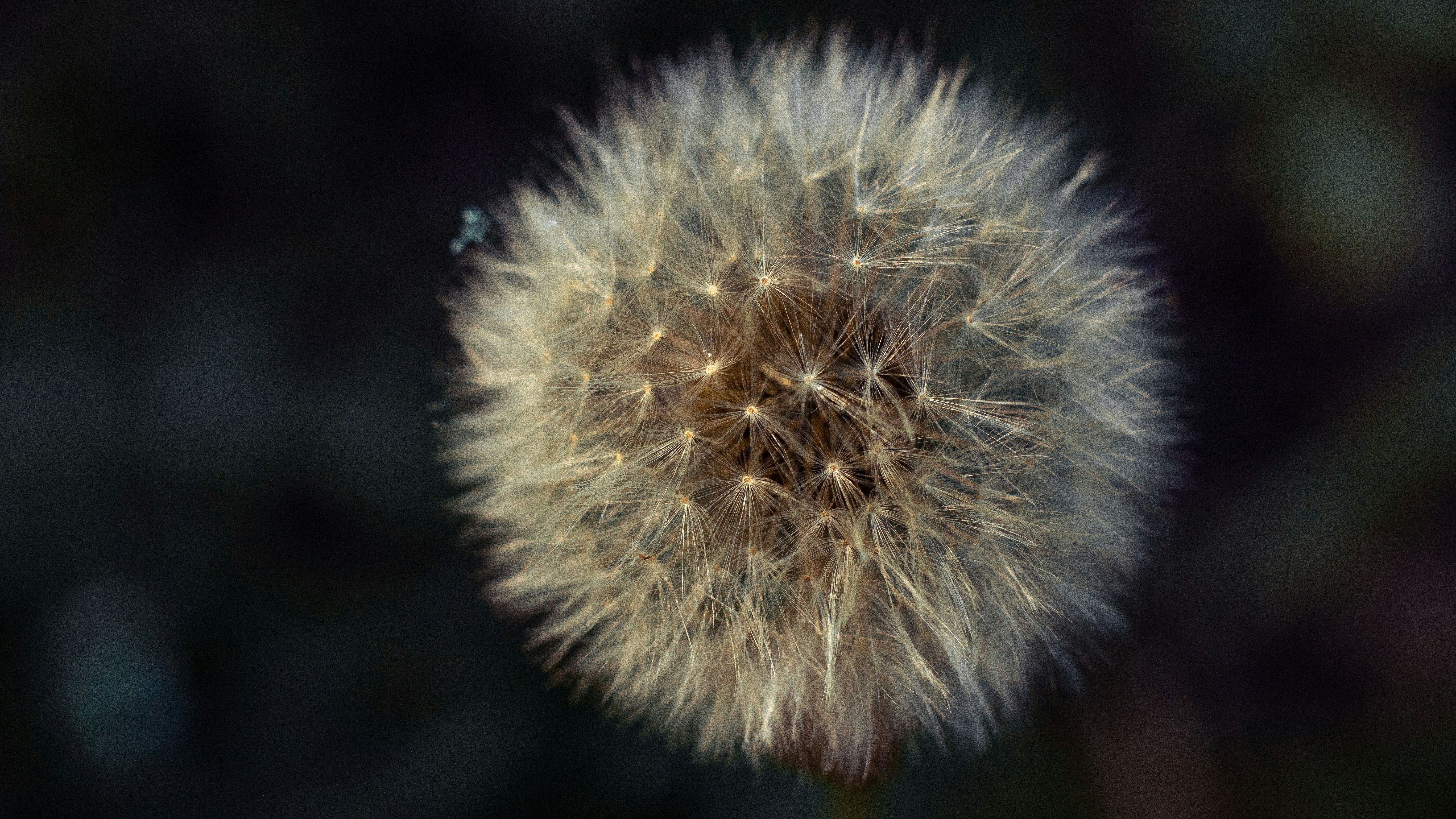 Photo by elenakasper